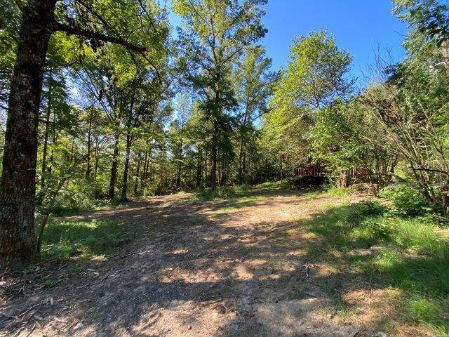Shirley, AR 72153,456 Silver Rock