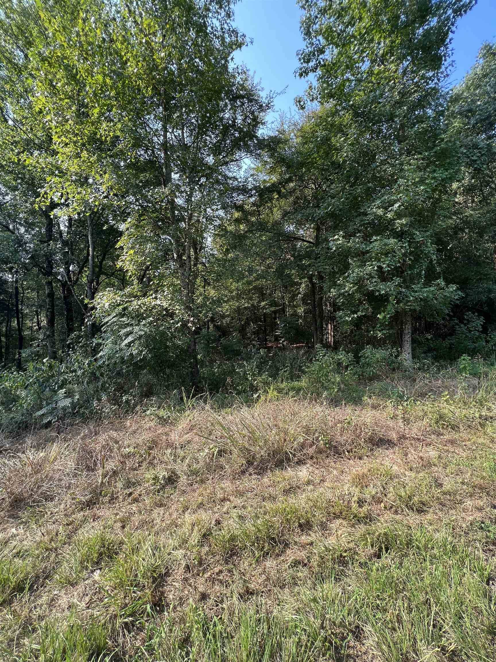 Amity, AR 71921,Lot D Ebenezer Road