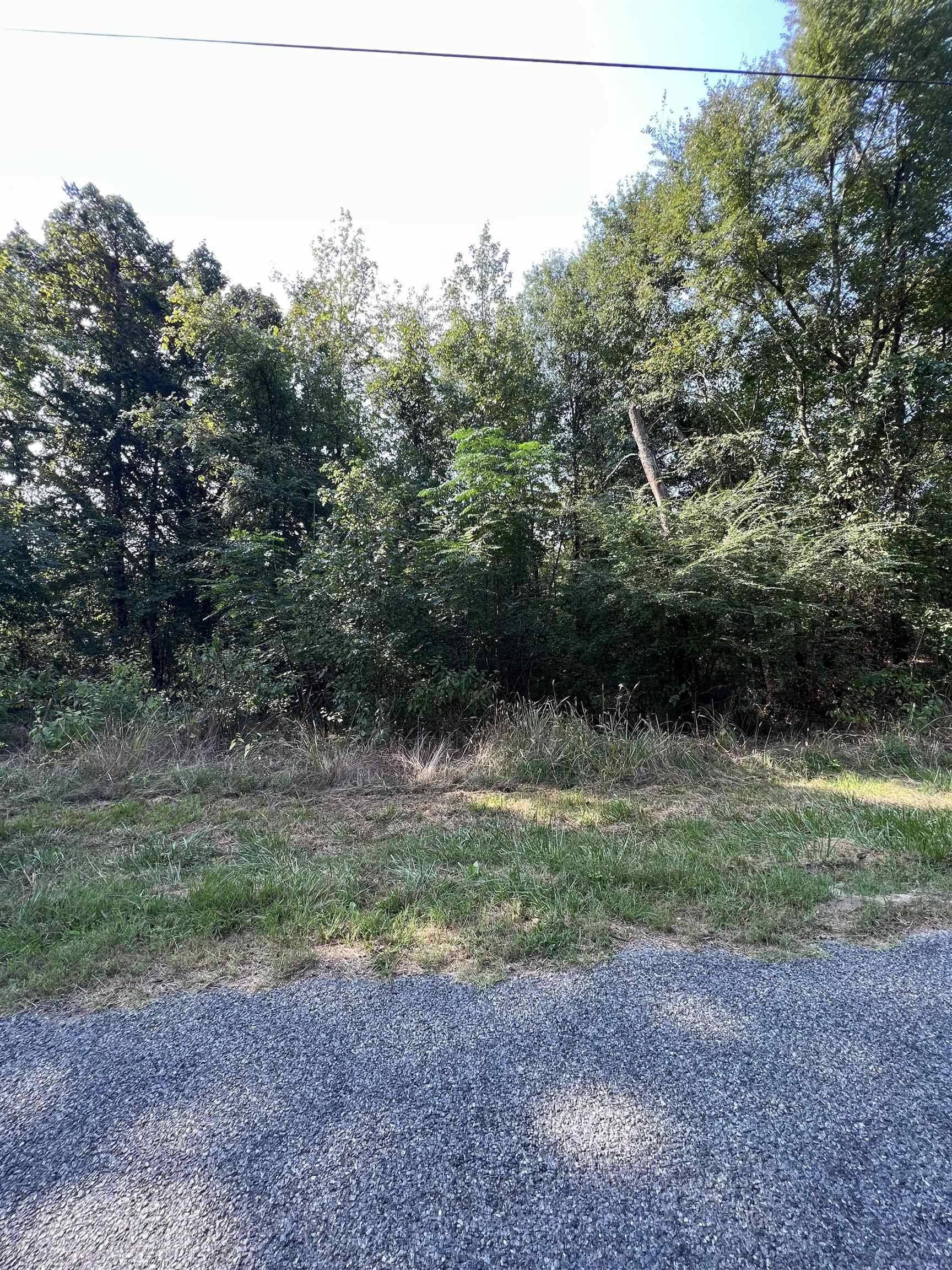 Amity, AR 71921,Lot F Ebenezer Road