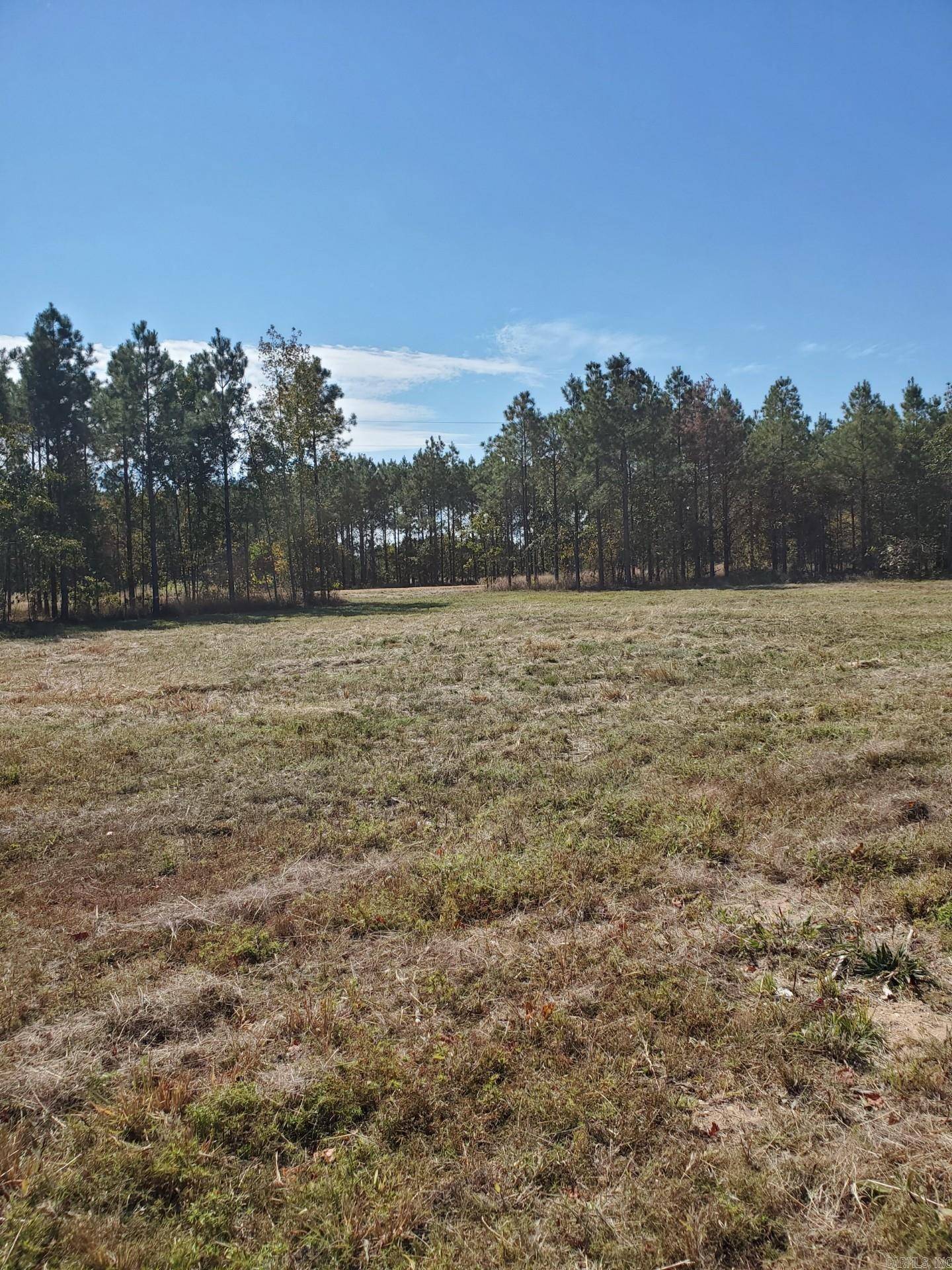 Rison, AR 71665,Lot 2 Young Pines