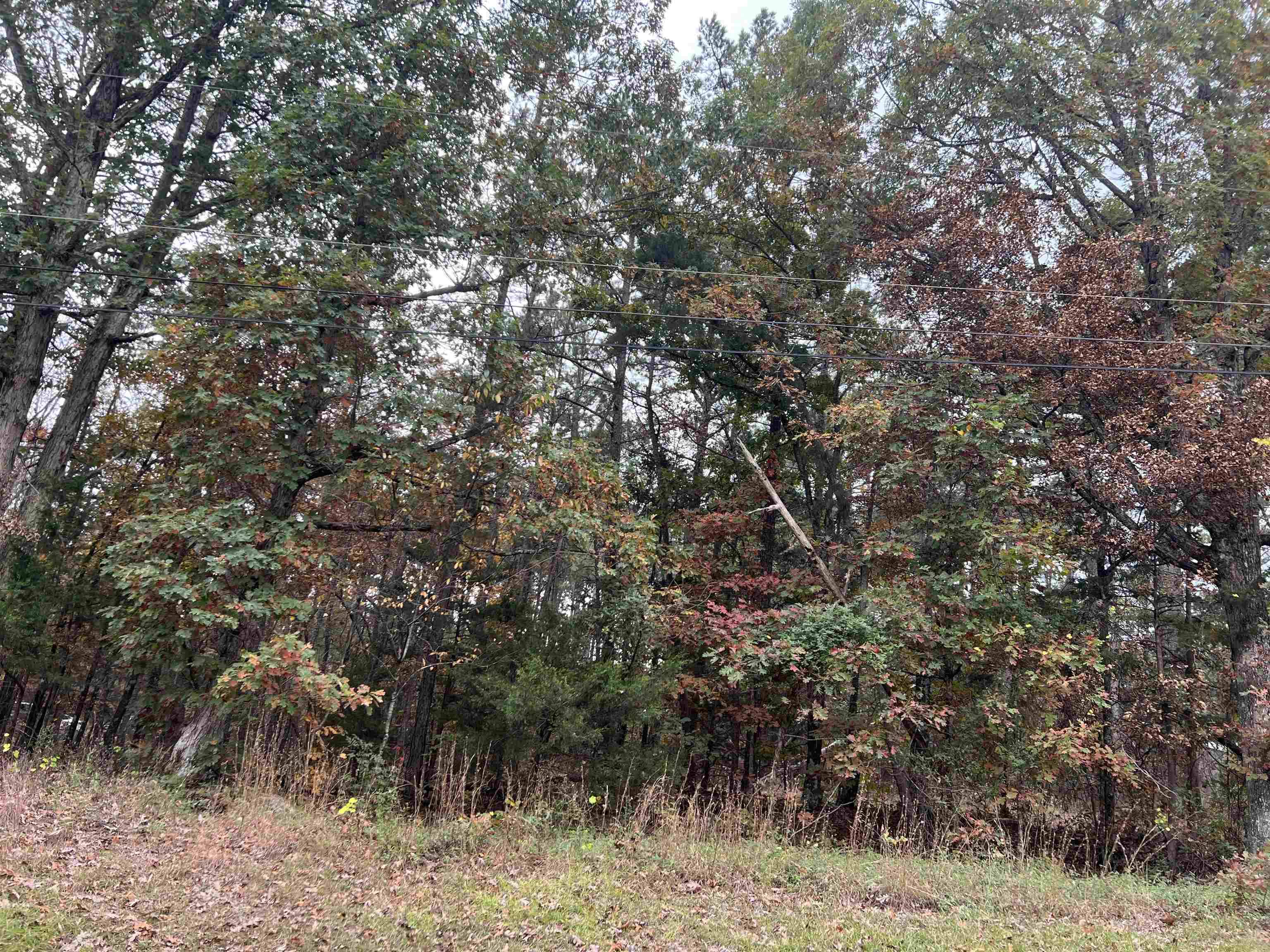 Fairfield Bay, AR 72088,00 Blue Ridge Lane