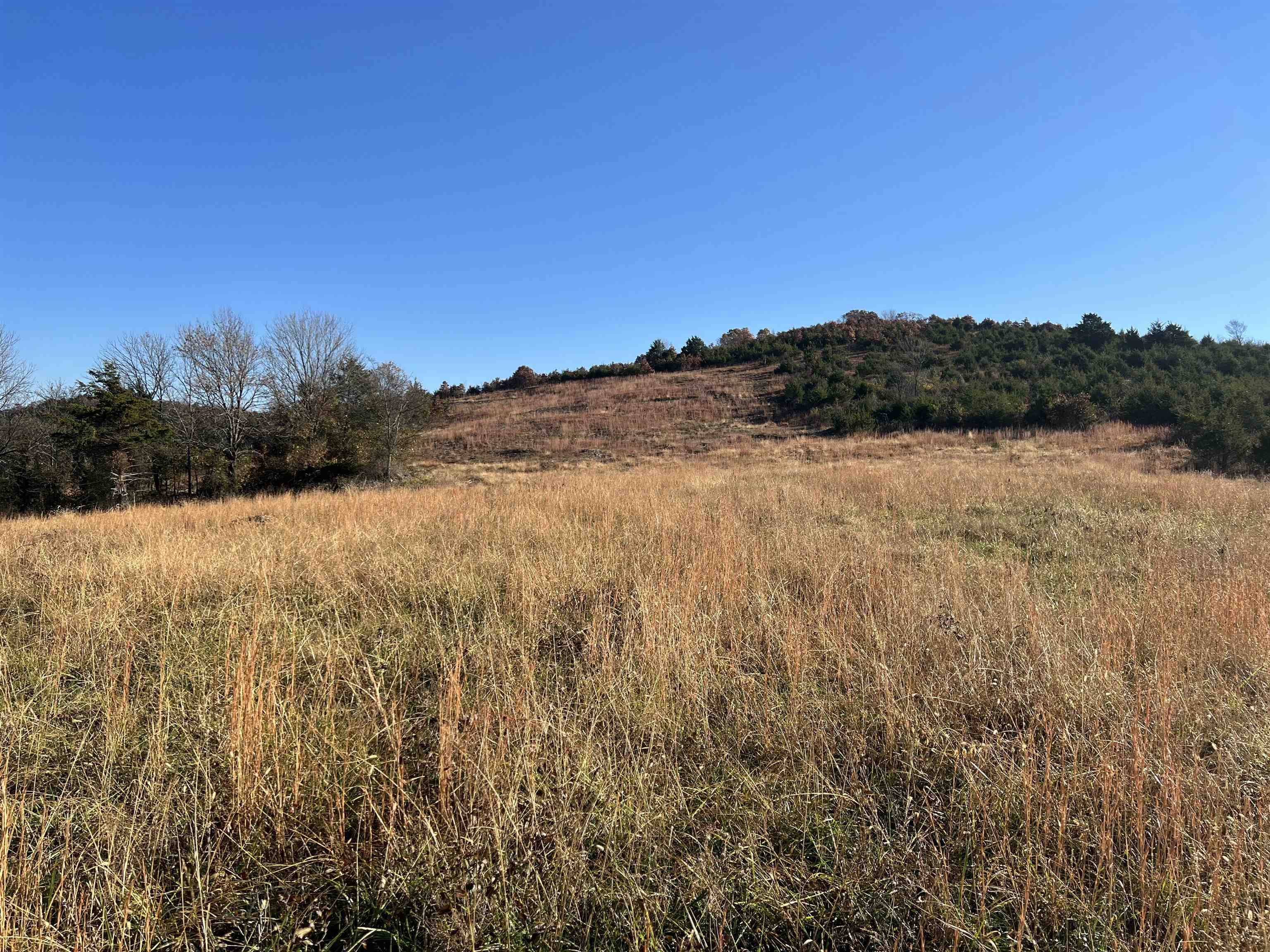 Harrison, AR 72601,Tract J5 Whitetail Drive