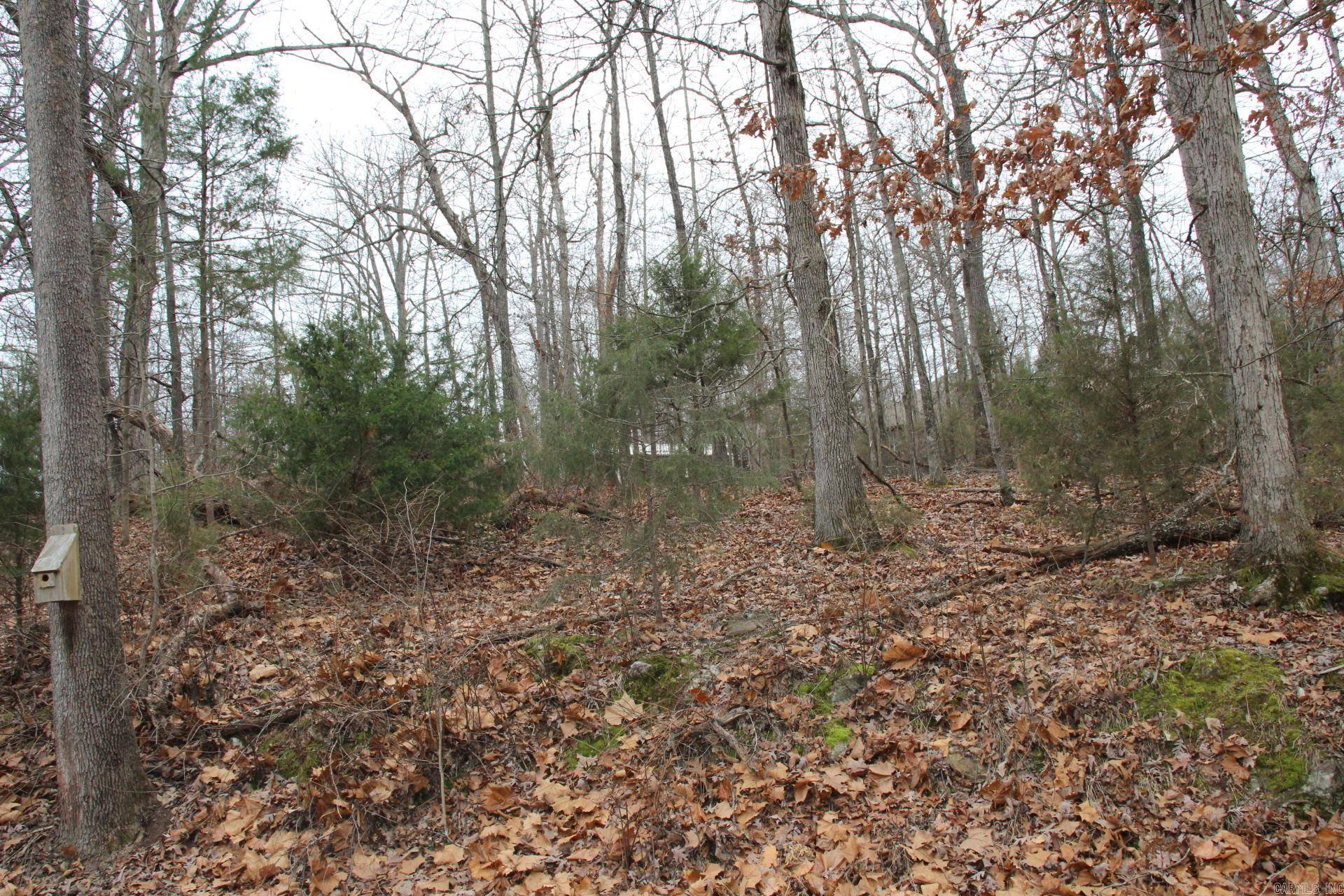 Bull Shoals, AR 72619,Lot 21 Woodstone Road