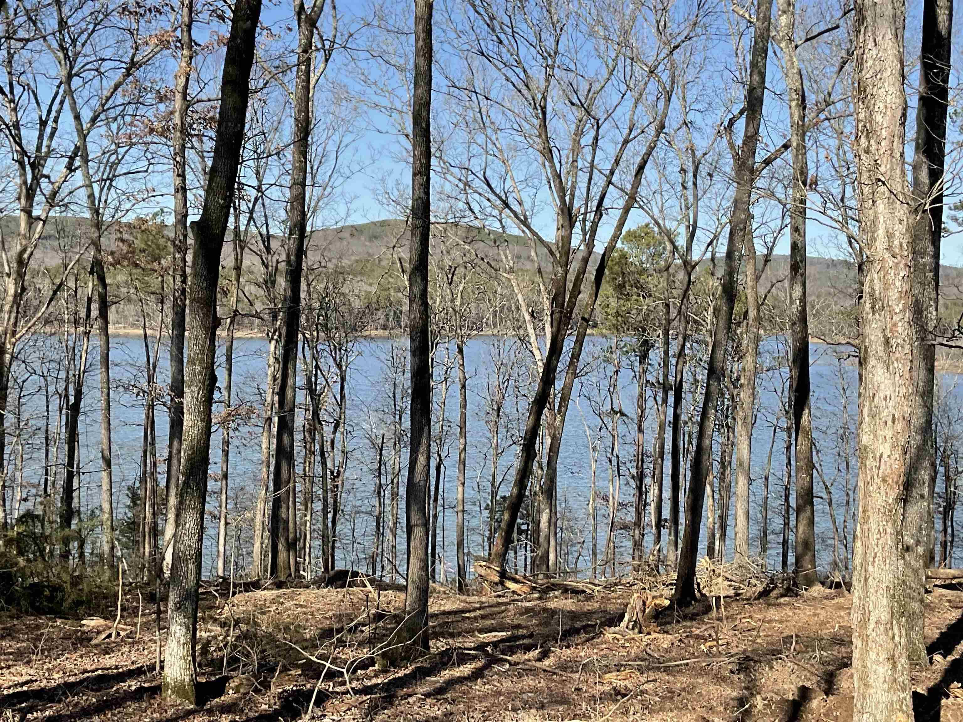 Greers Ferry, AR 72067,L6 Elrod Dr.