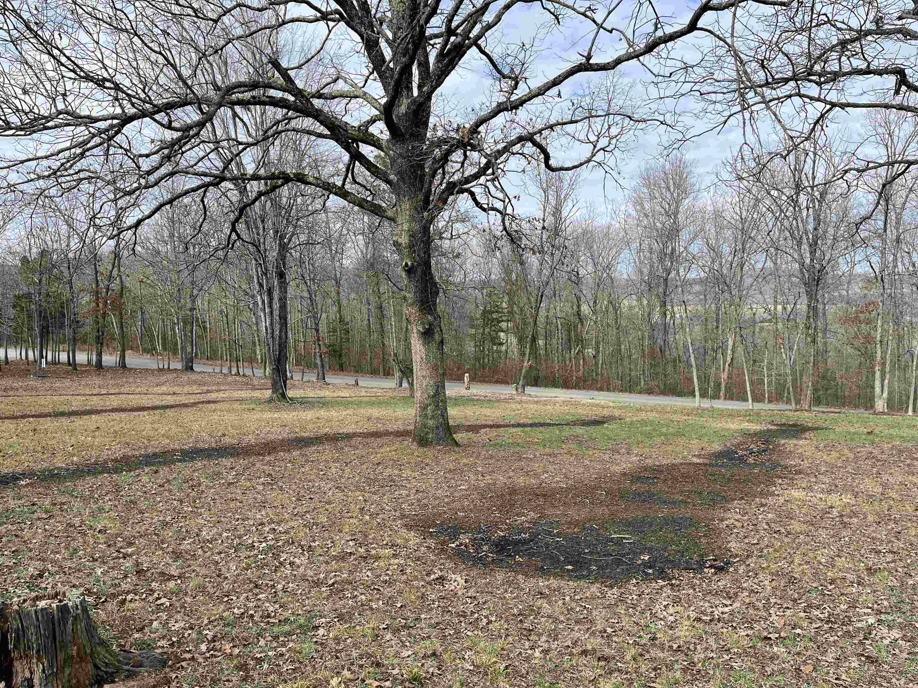 Leslie, AR 72645,Address not disclosed