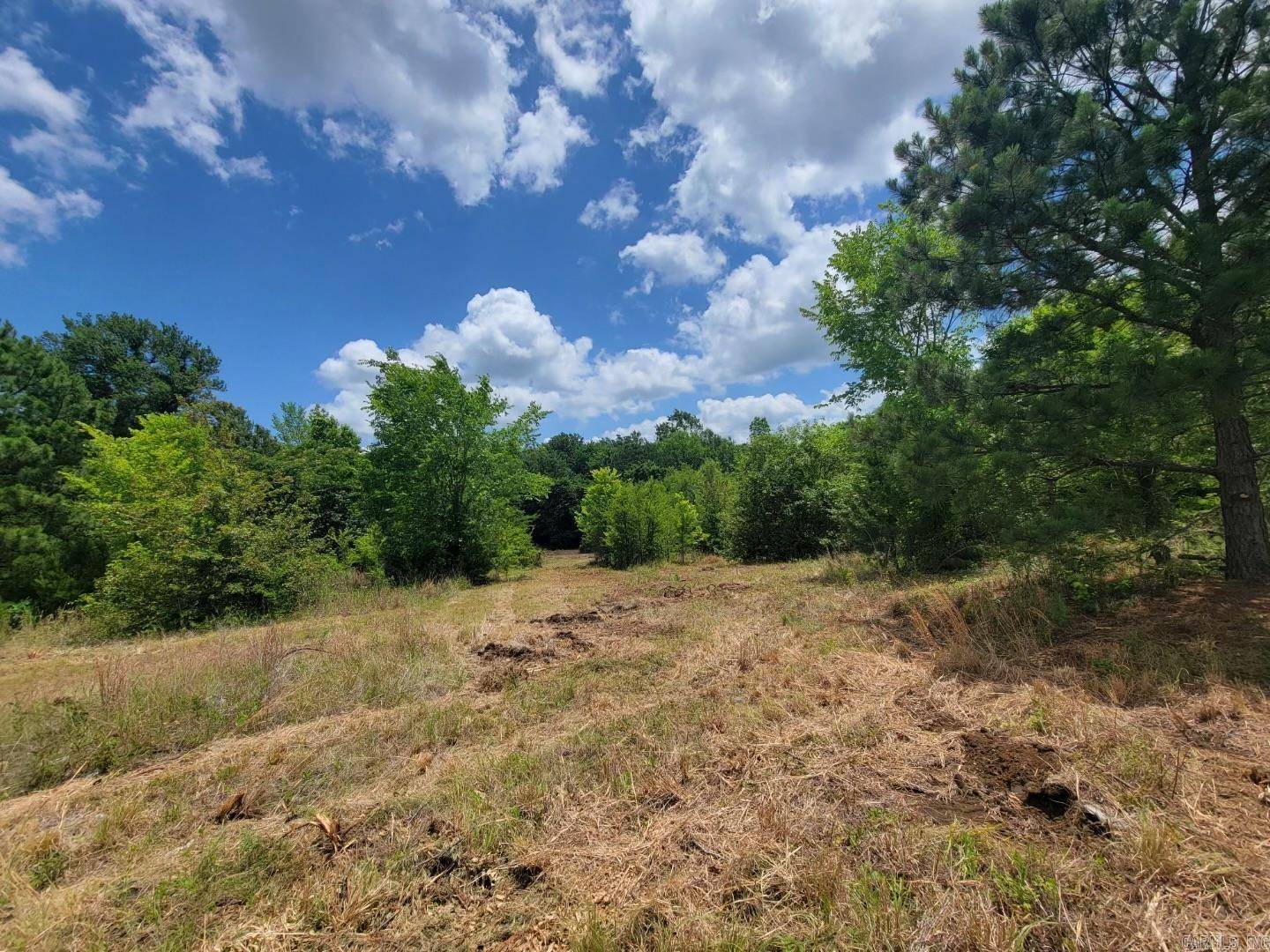 Texarkana, AR 71854,210 N Oats