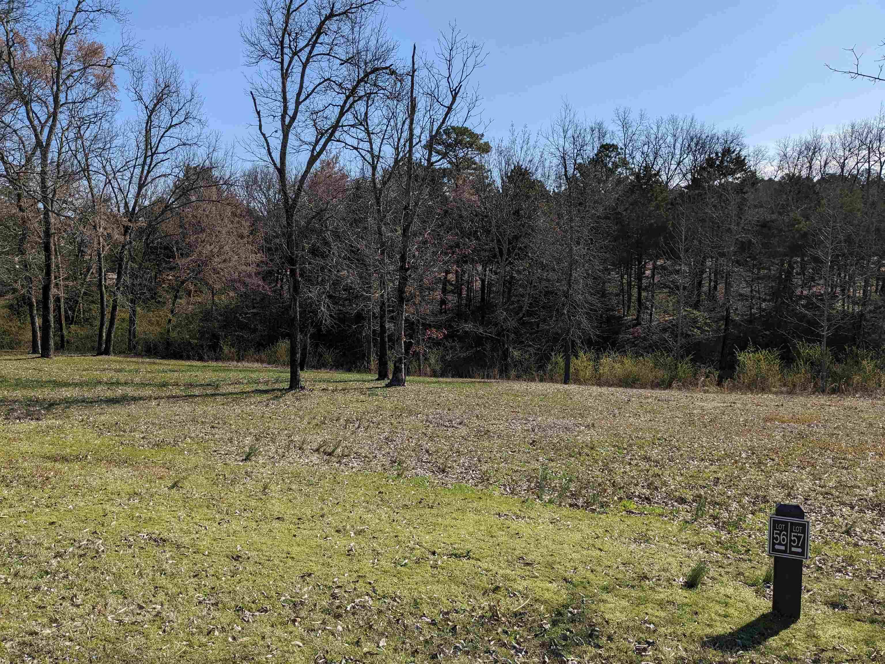 Heber Springs, AR 72543,Lot 56 Brighton Pointe