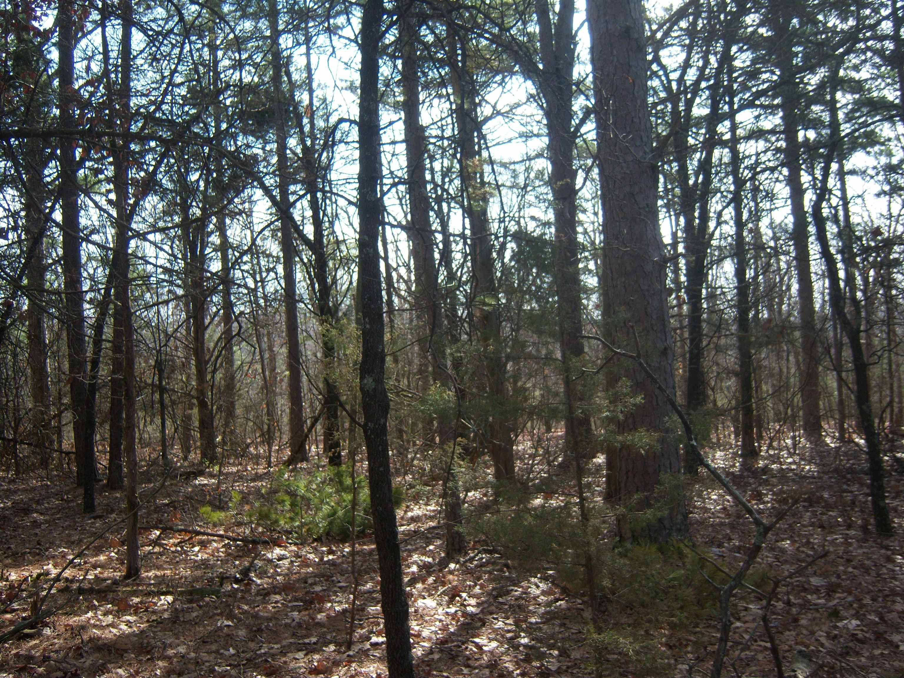 Mountain View, AR 72560-9999,Double G Farm