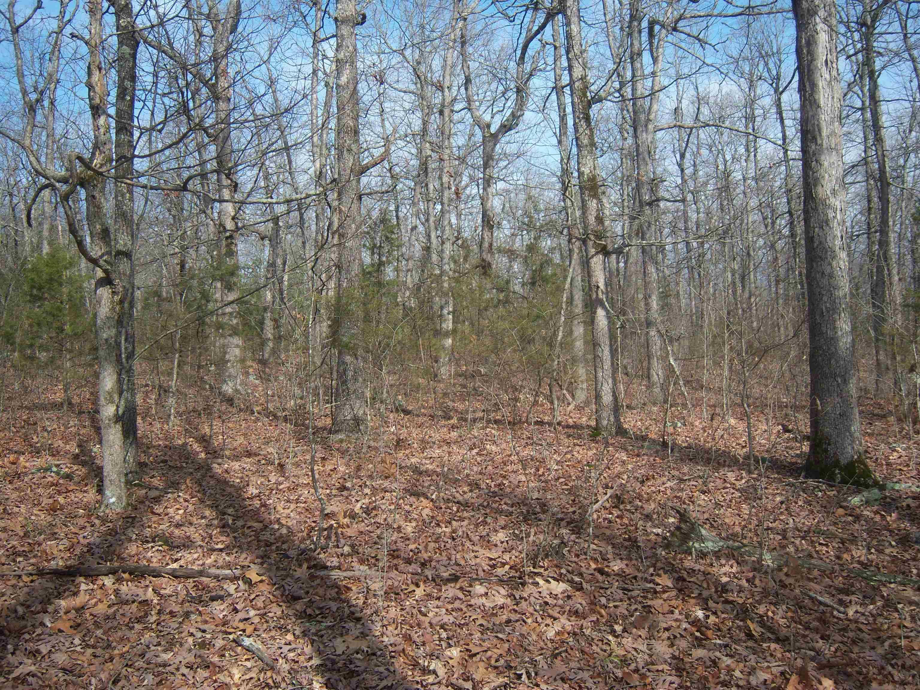 Mountain View, AR 72560-9999,Double G Farm Road
