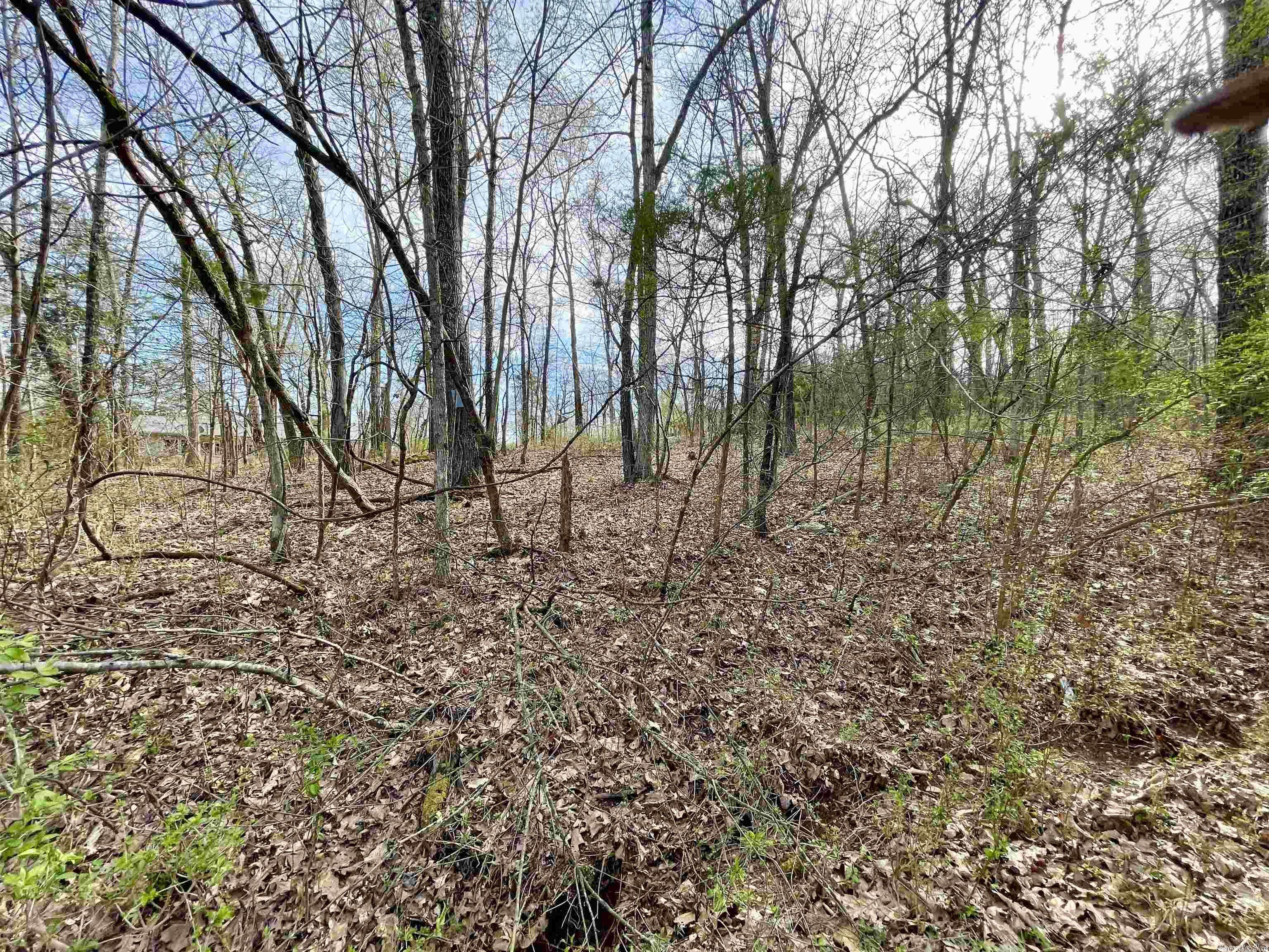 Cherokee Village, AR 72513,0 Nokomis Drive