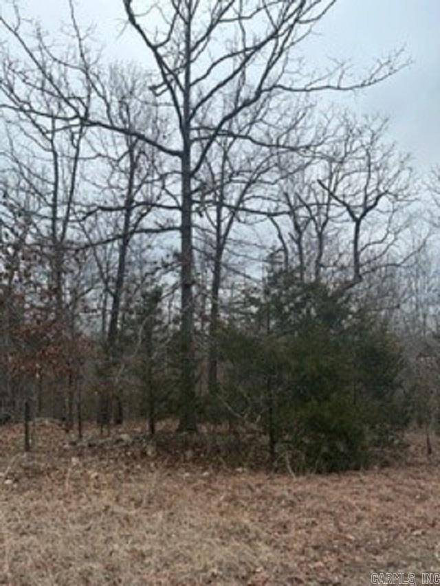Mountain Home, AR 72653,Lot 14 Buckhead Lane Lane