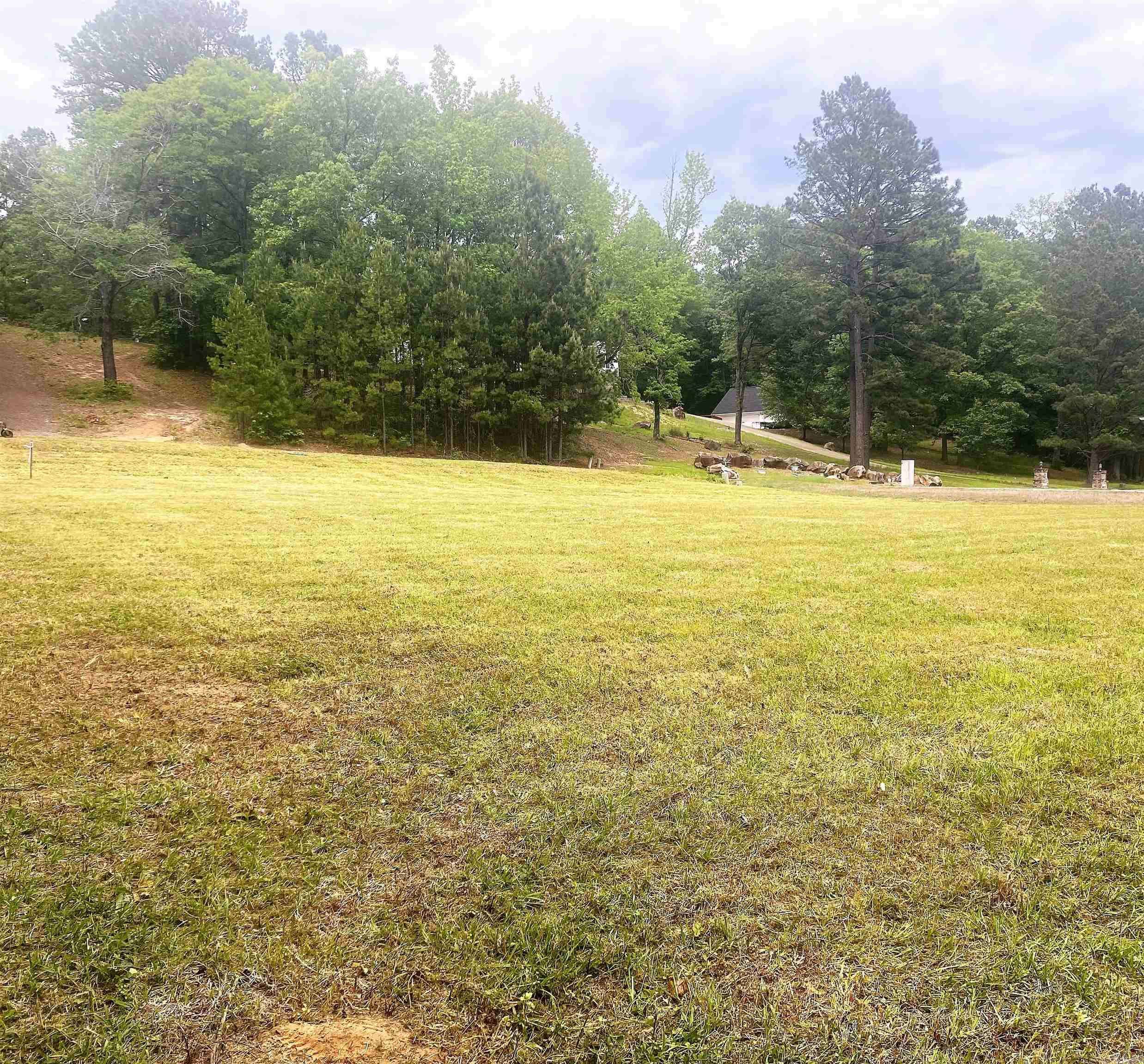 Arkadelphia, AR 71923,Lot 48 Willowbrook Street