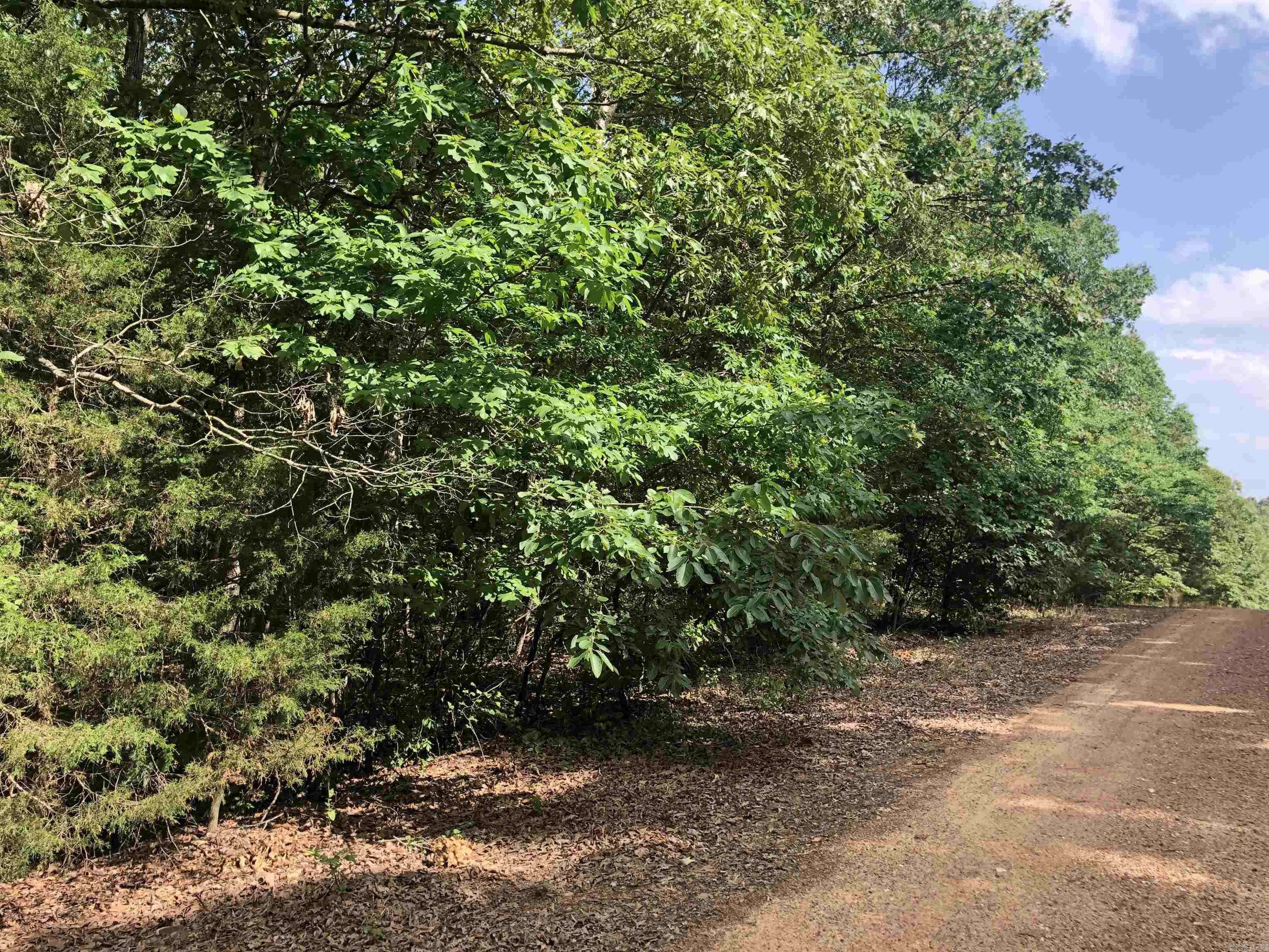 Smithville, AR 72466,0 Squirrel Ln