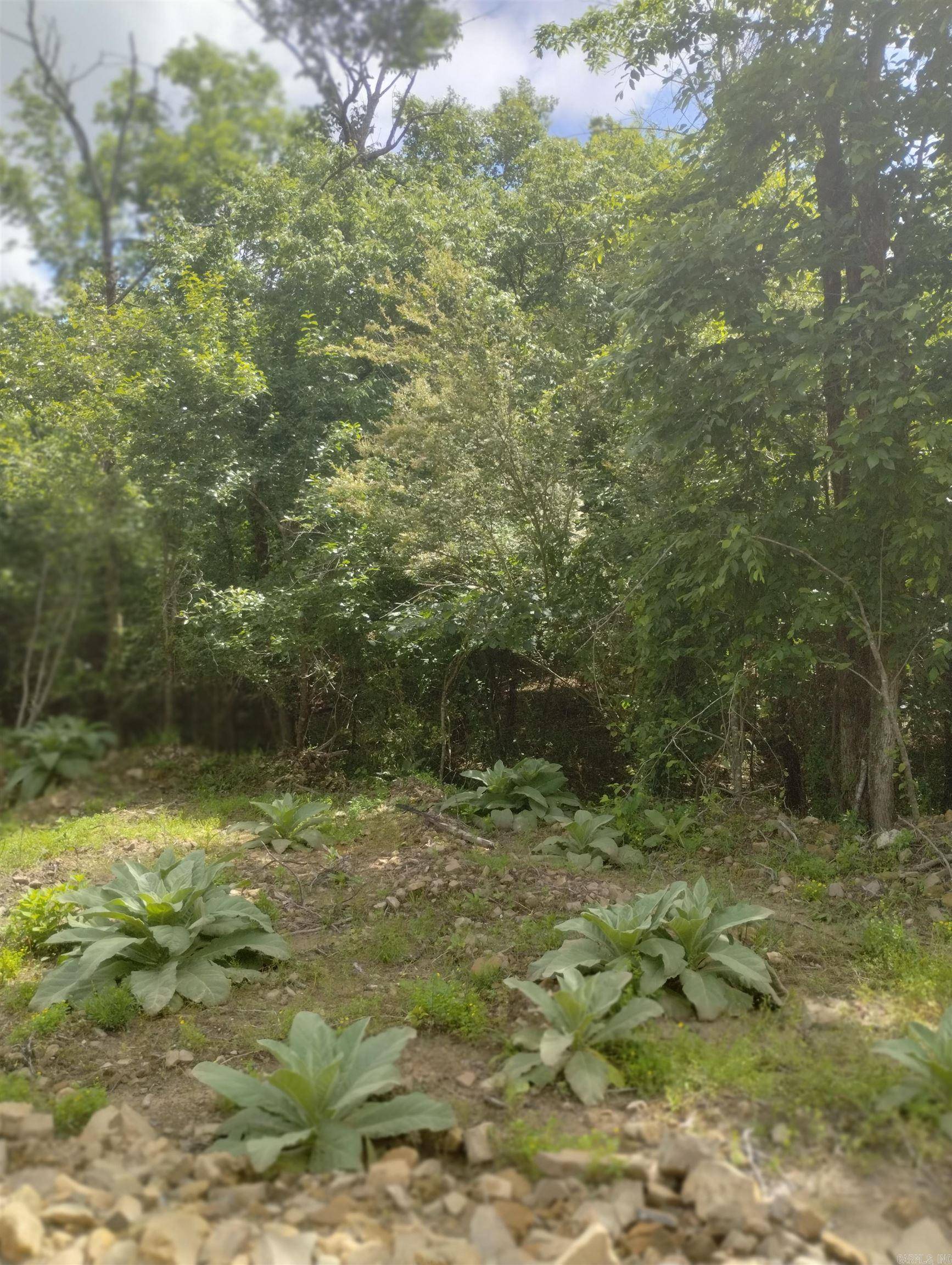 Glenwood, AR 71943,Address not disclosed