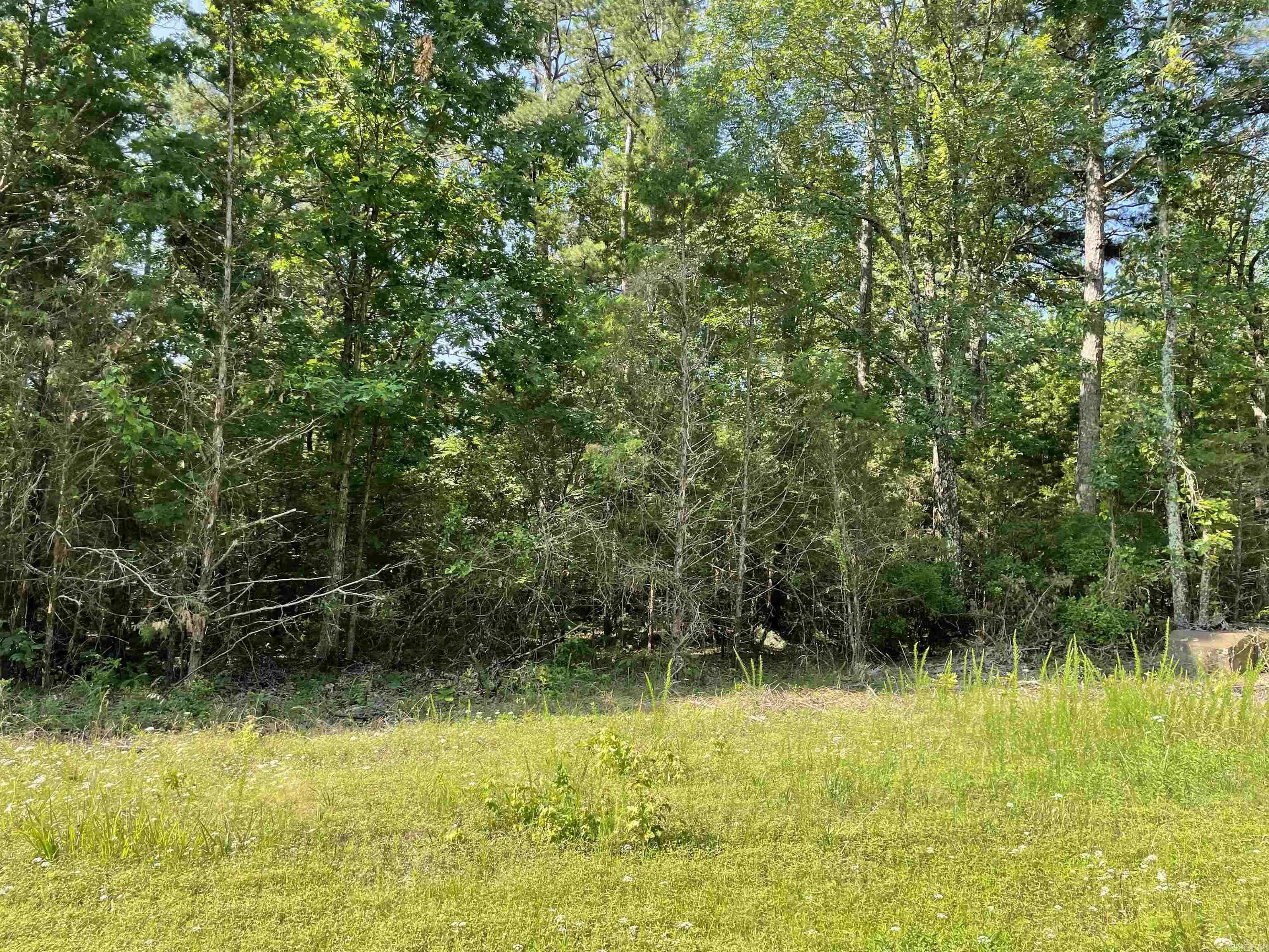 Greers Ferry, AR 72067,Lot 4 Pleasant Ridge Road