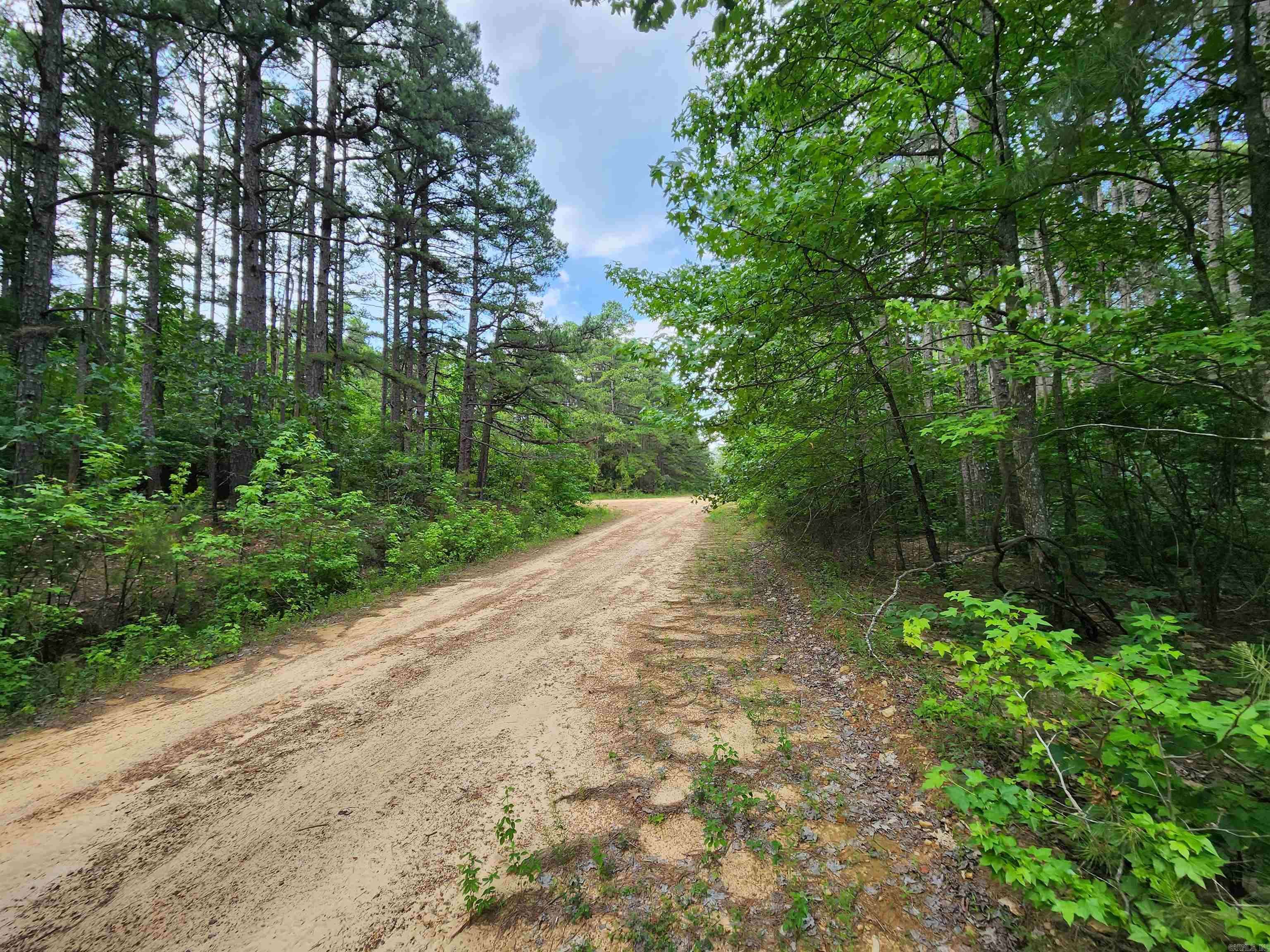 Fairfield Bay, AR 72088,0 Coyne and Elderberry Way
