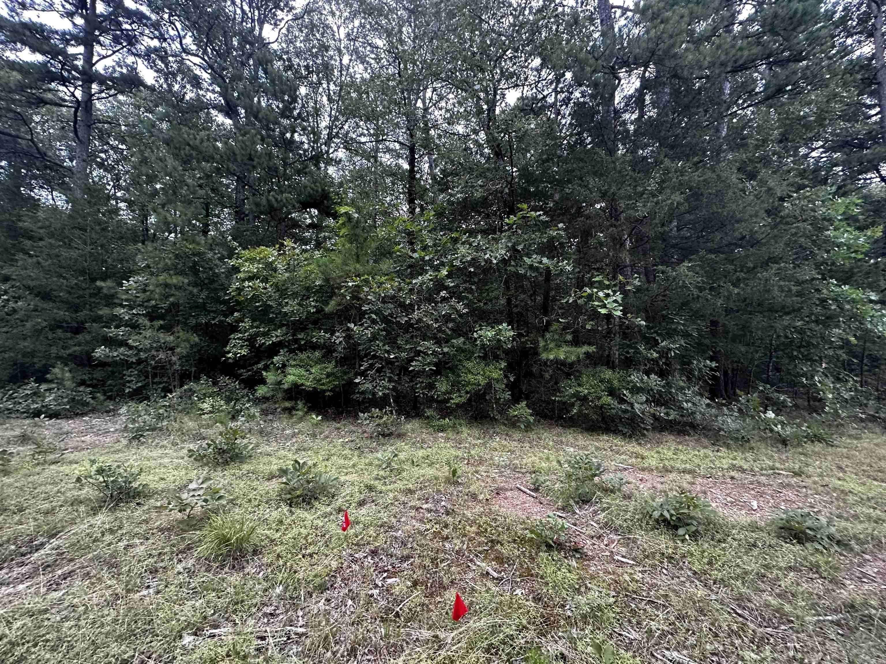 Shirley, AR 72153,Lot 44 Cobalt Bay Drive