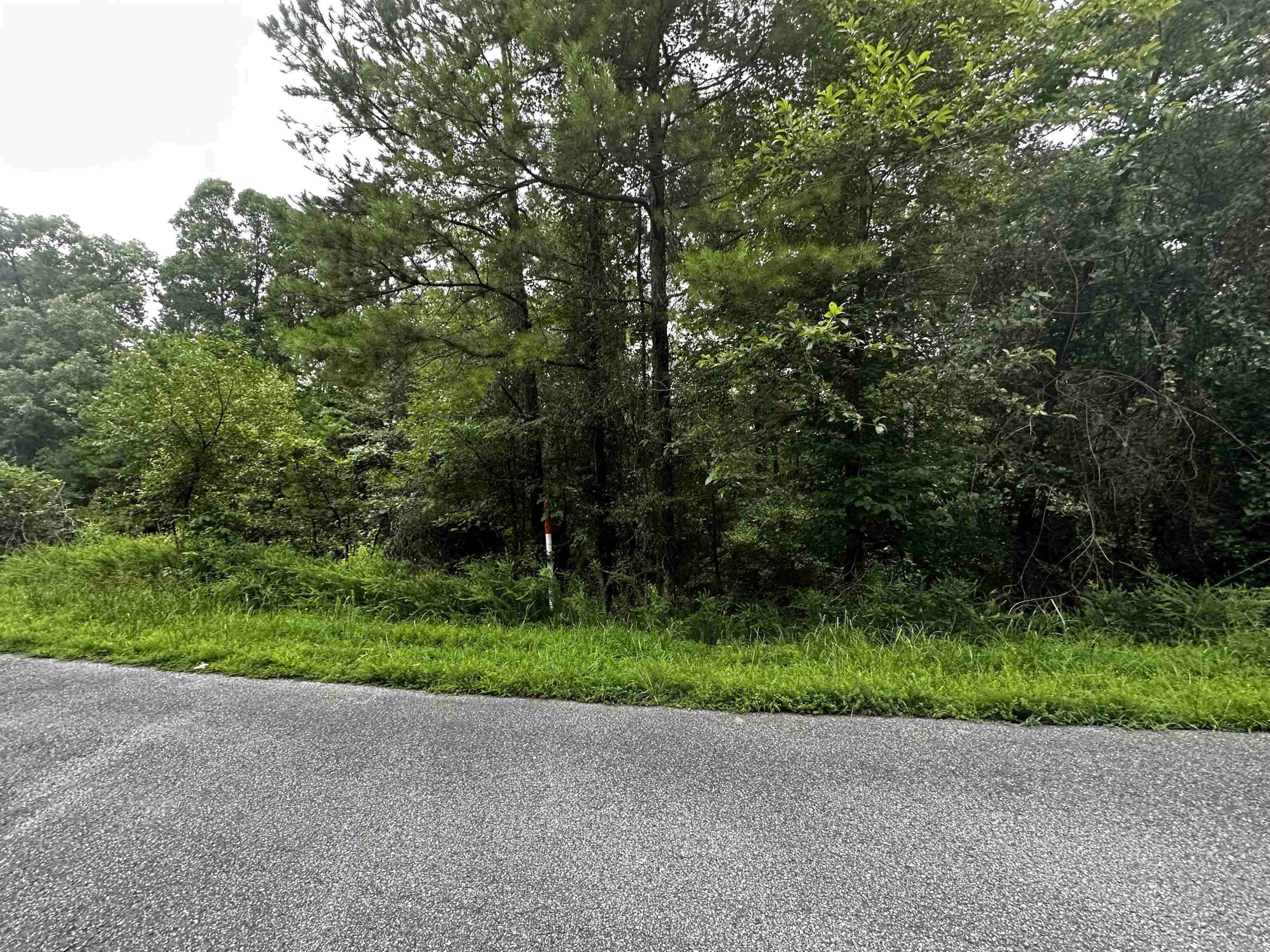 Shirley, AR 72153,Lot 66 Cobalt Bay Drive