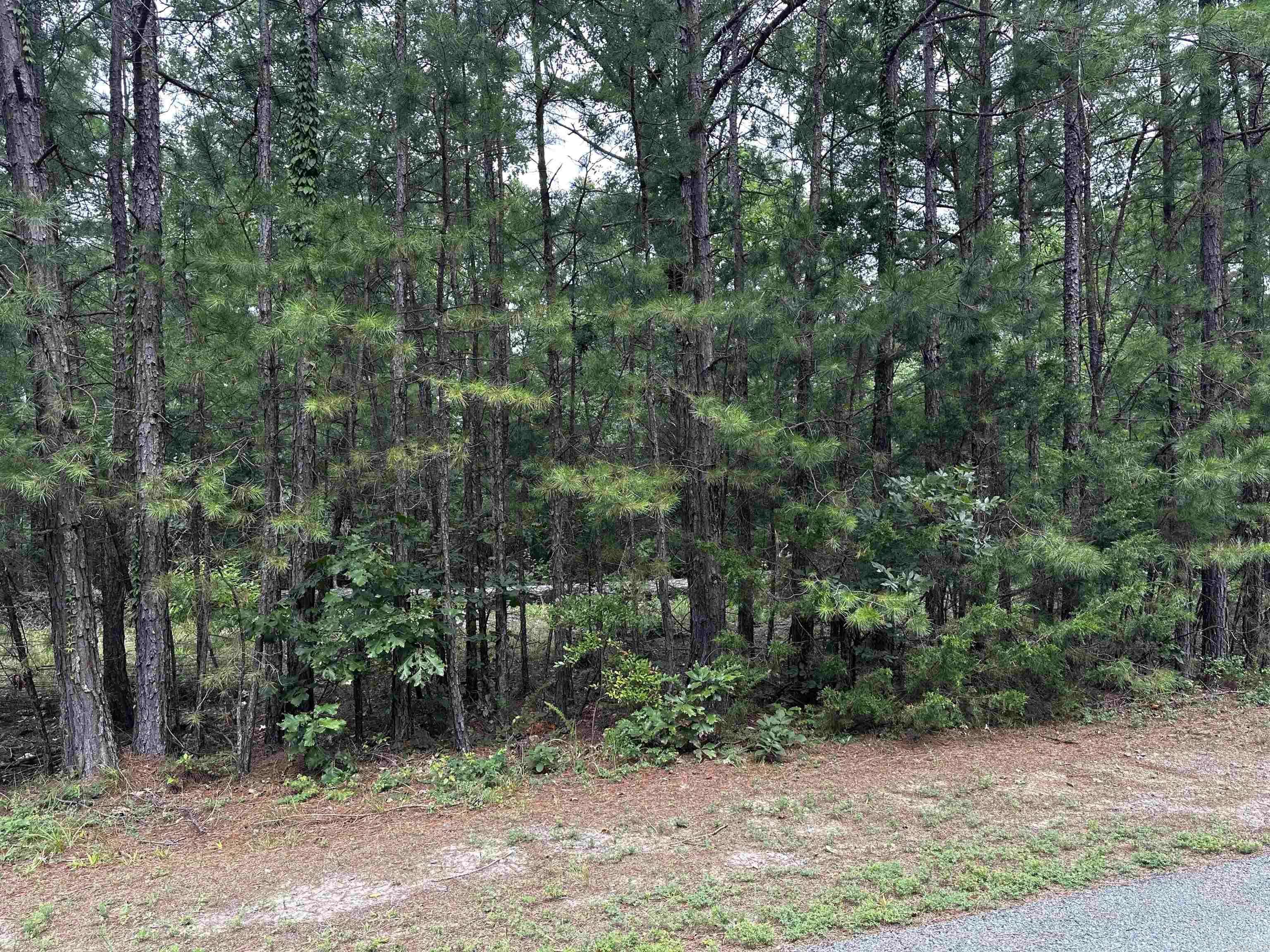Shirley, AR 72153,Lot 87 Cobalt Bay Drive