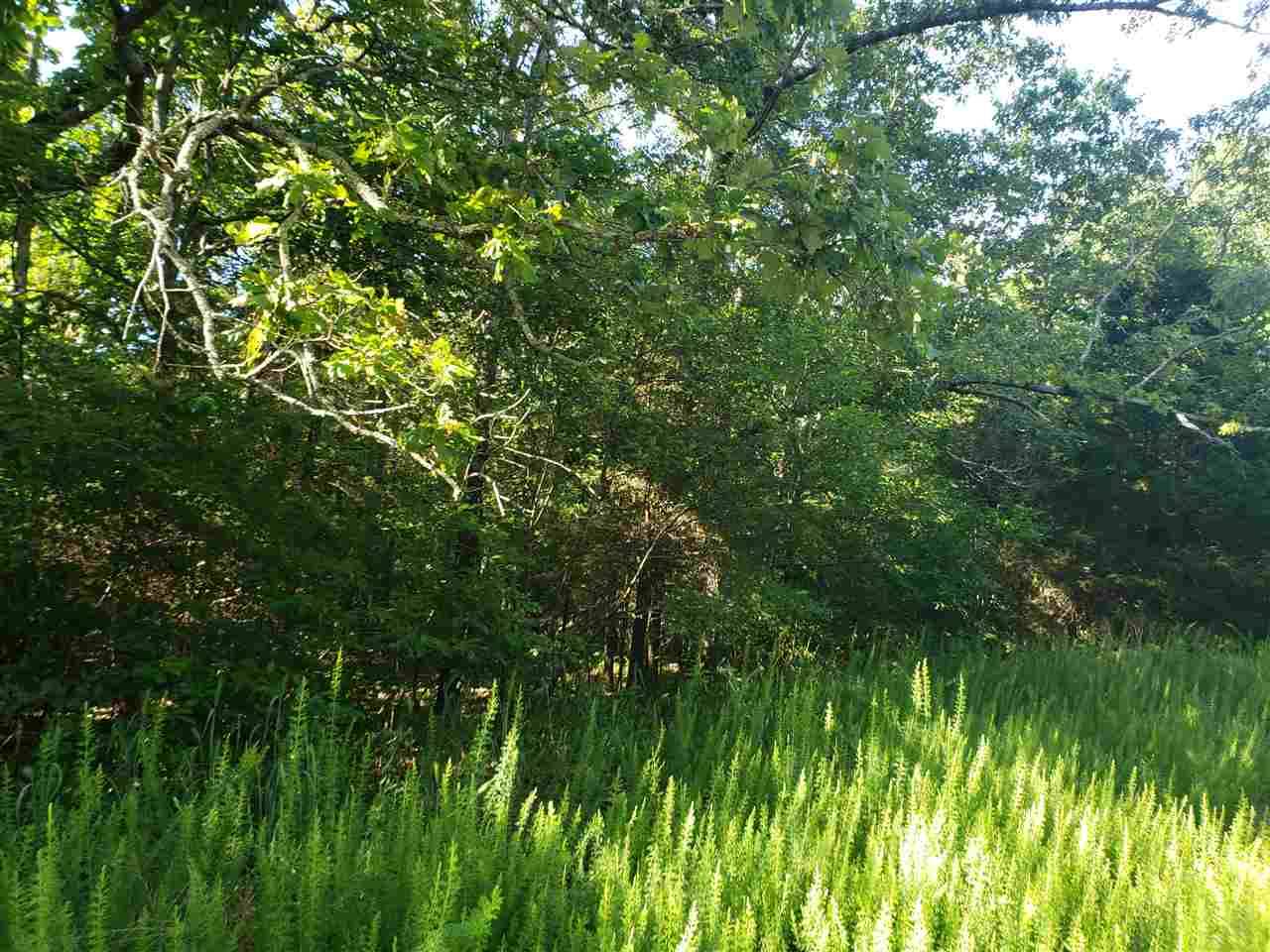 Cherokee Village, AR 72529,L-11, B-5 Nickajack Trace
