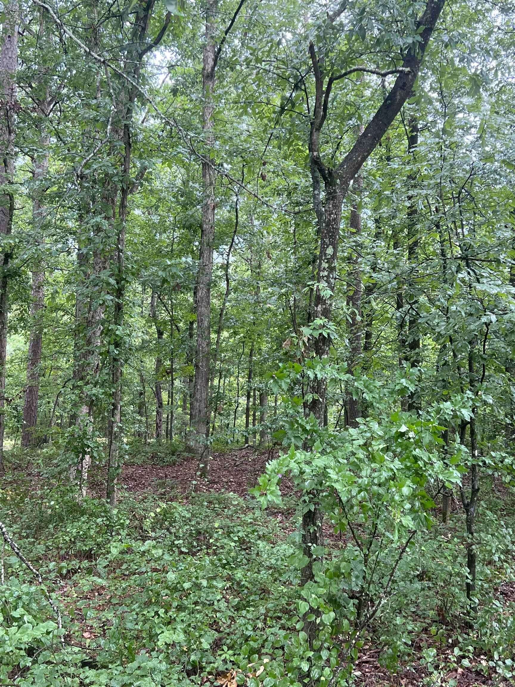 White Hall, AR 71602,00 Boastwood