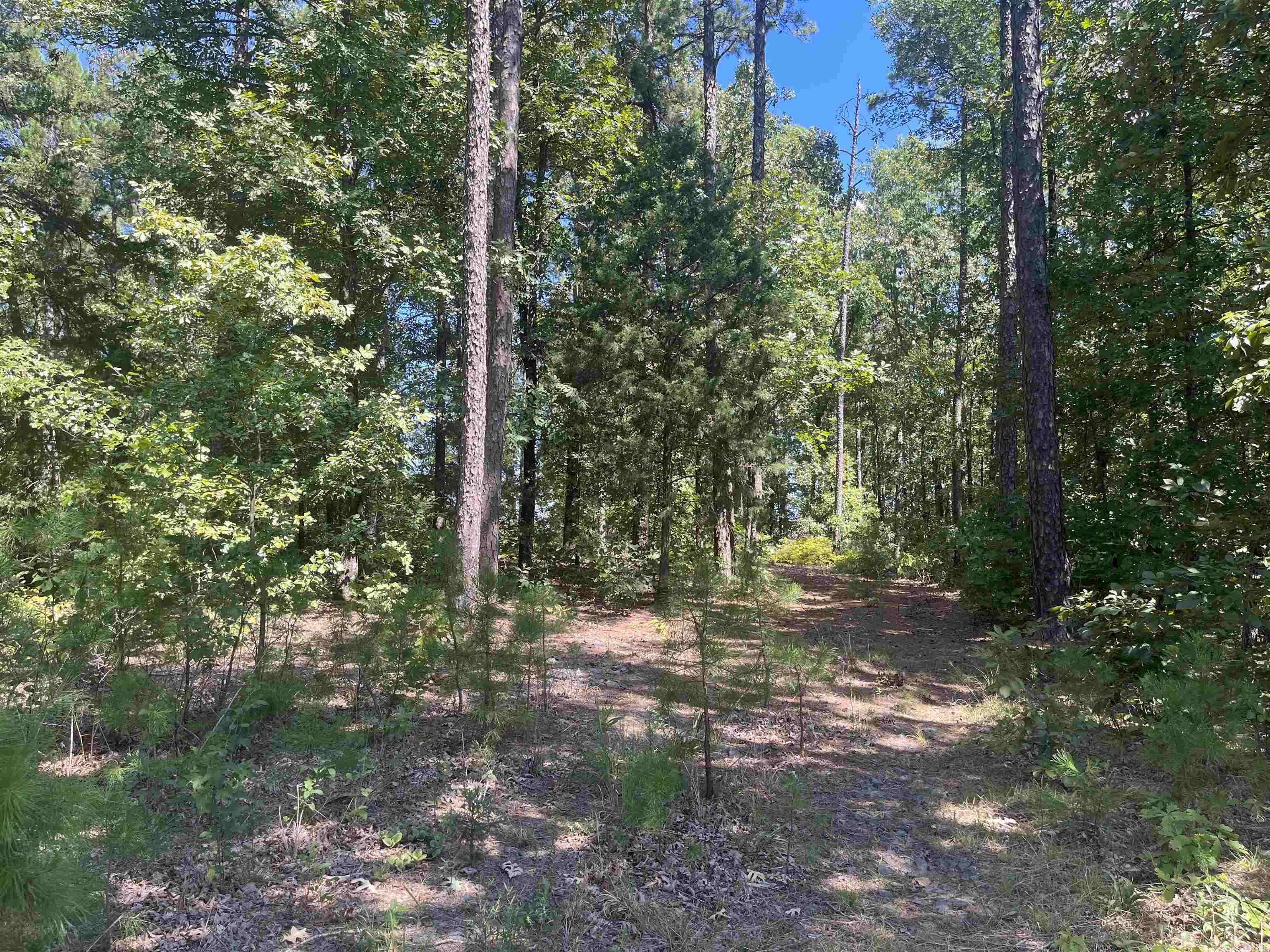 Quitman, AR 72131,Lot 5 Diamond Bluff