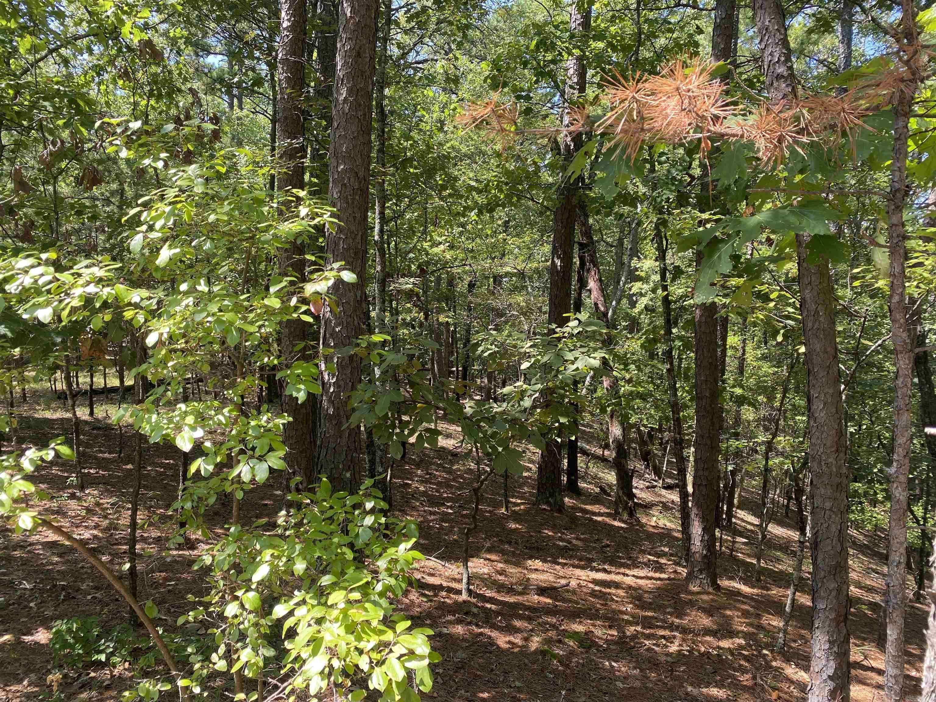 Mount Ida, AR 71957,9 Hillside Trail