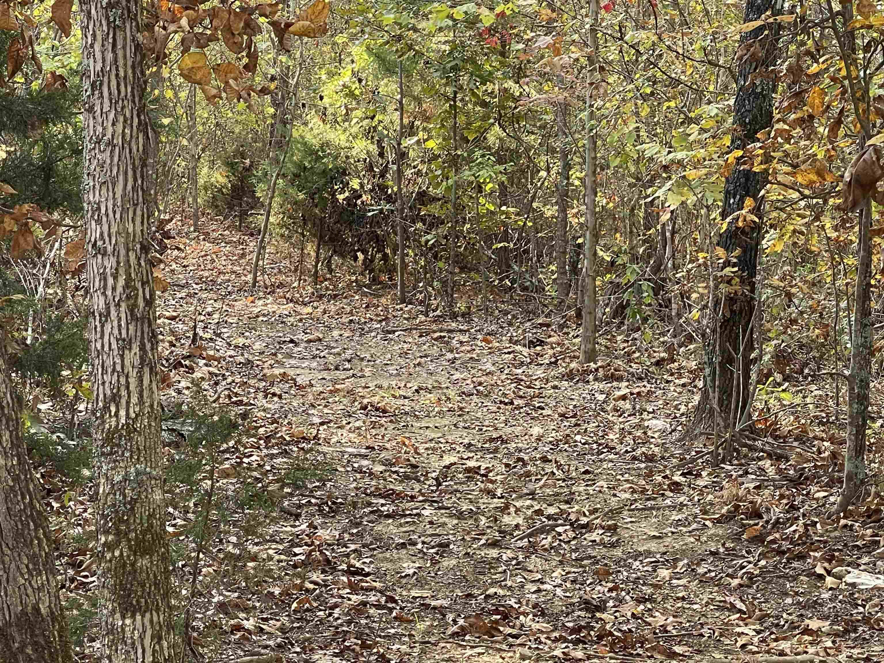 Ravenden Springs, AR 72460,TBD Lower Janes Creek Road