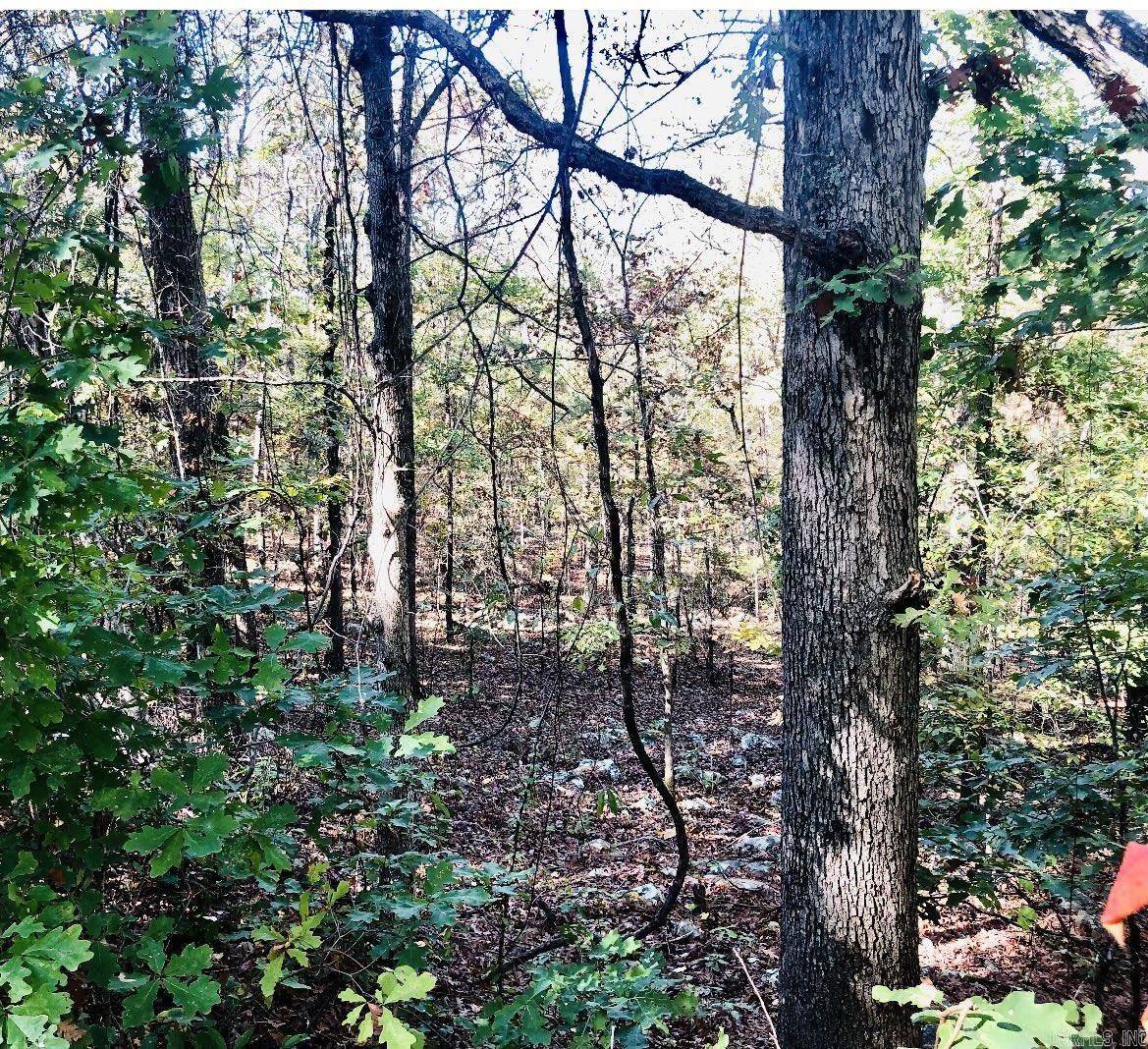 Maumelle, AR 72113,Lot 10 Norfork Drive