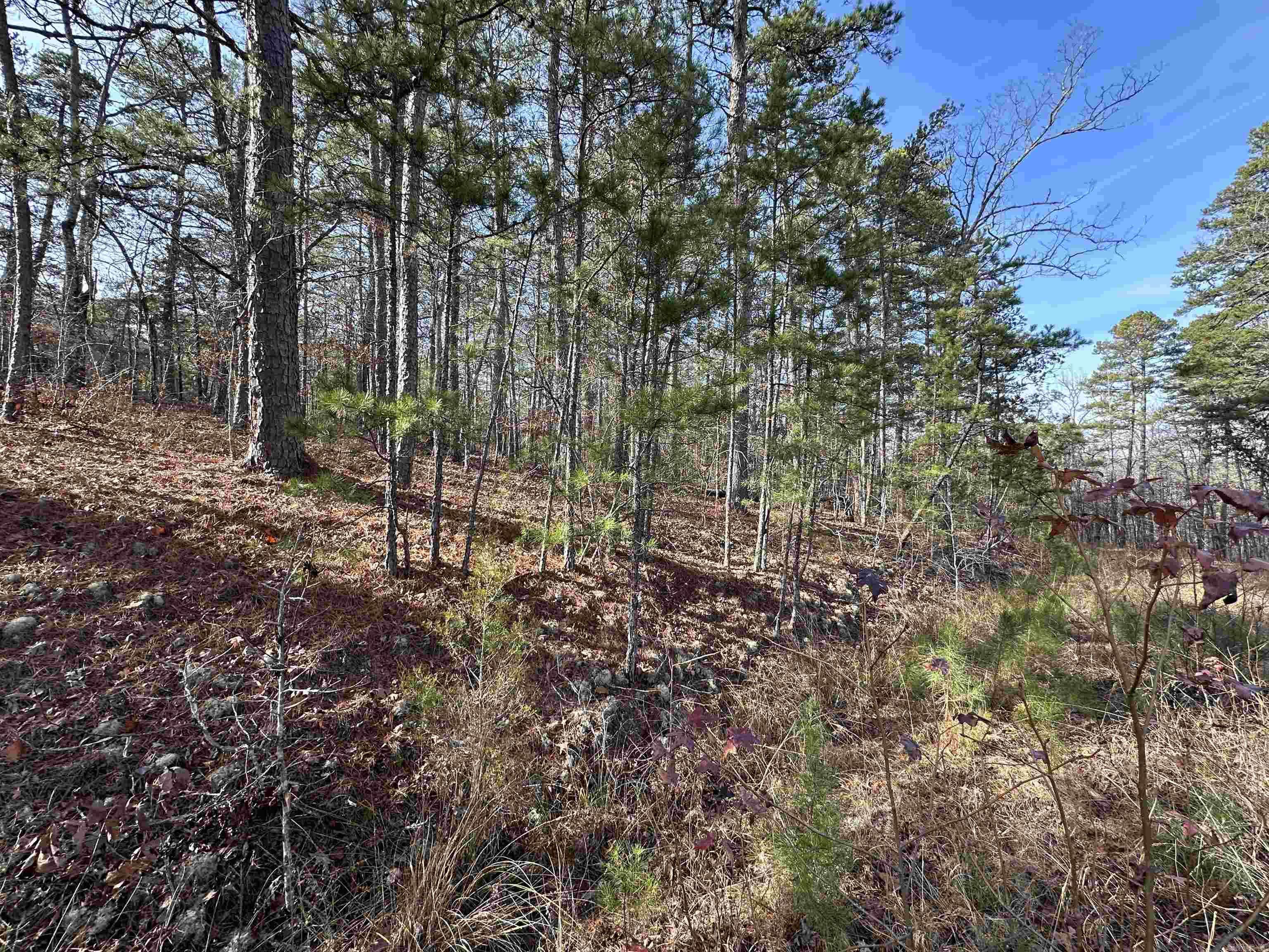 Hot Springs Village, AR 71909,Lot 9 La Viejo Way
