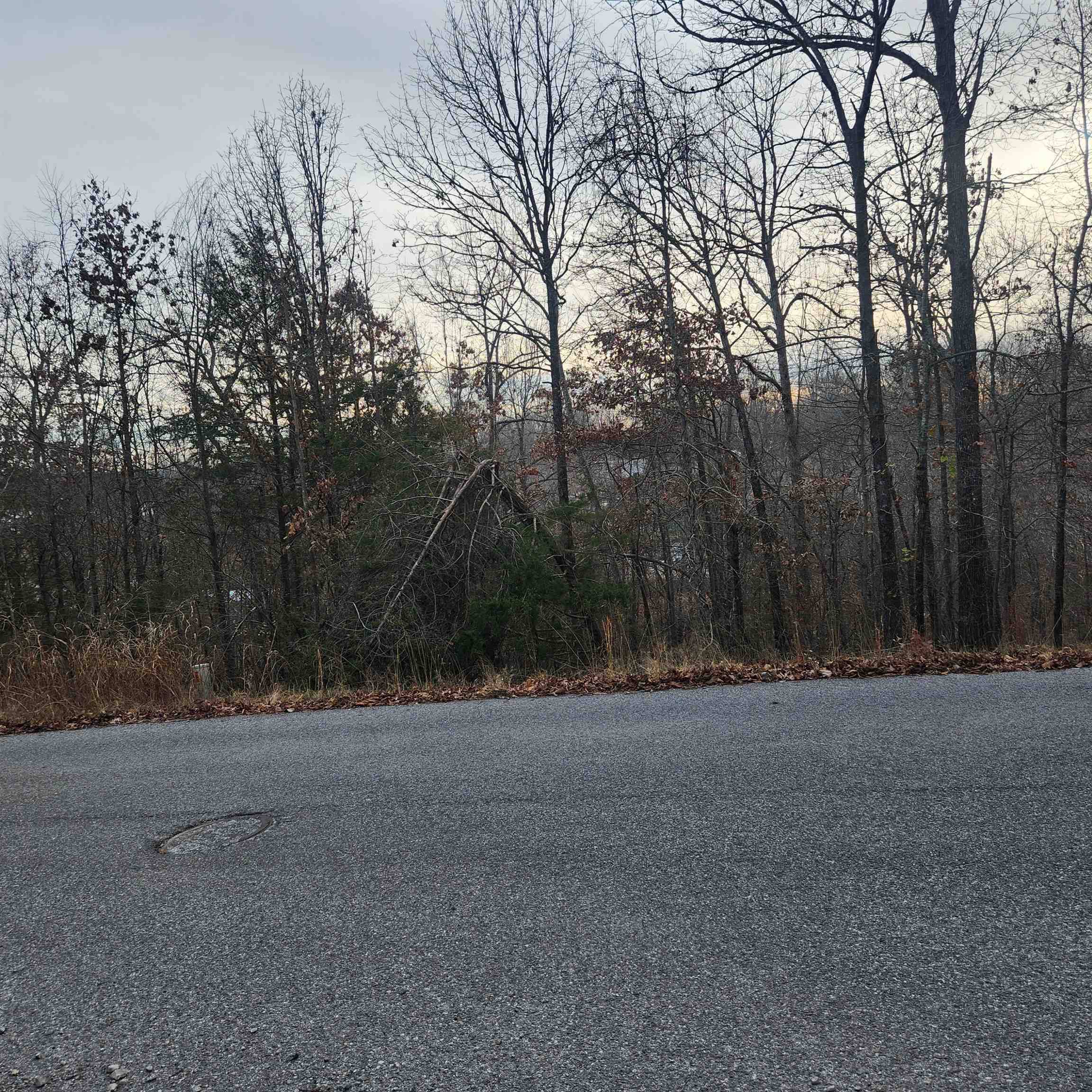 Horseshoe Bend, AR 72512,307-403 Alexander Avenue