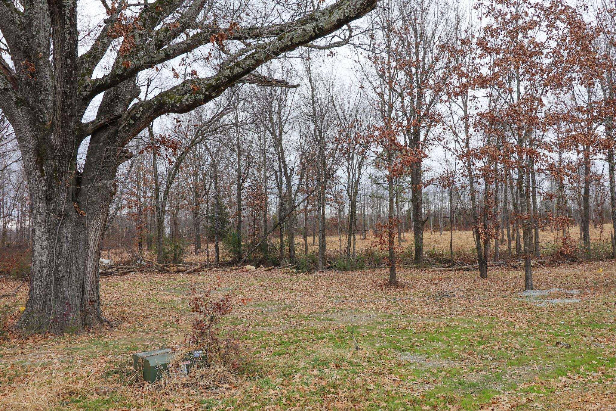 Jonesboro, AR 72404,Lot 1 Diamond Valley