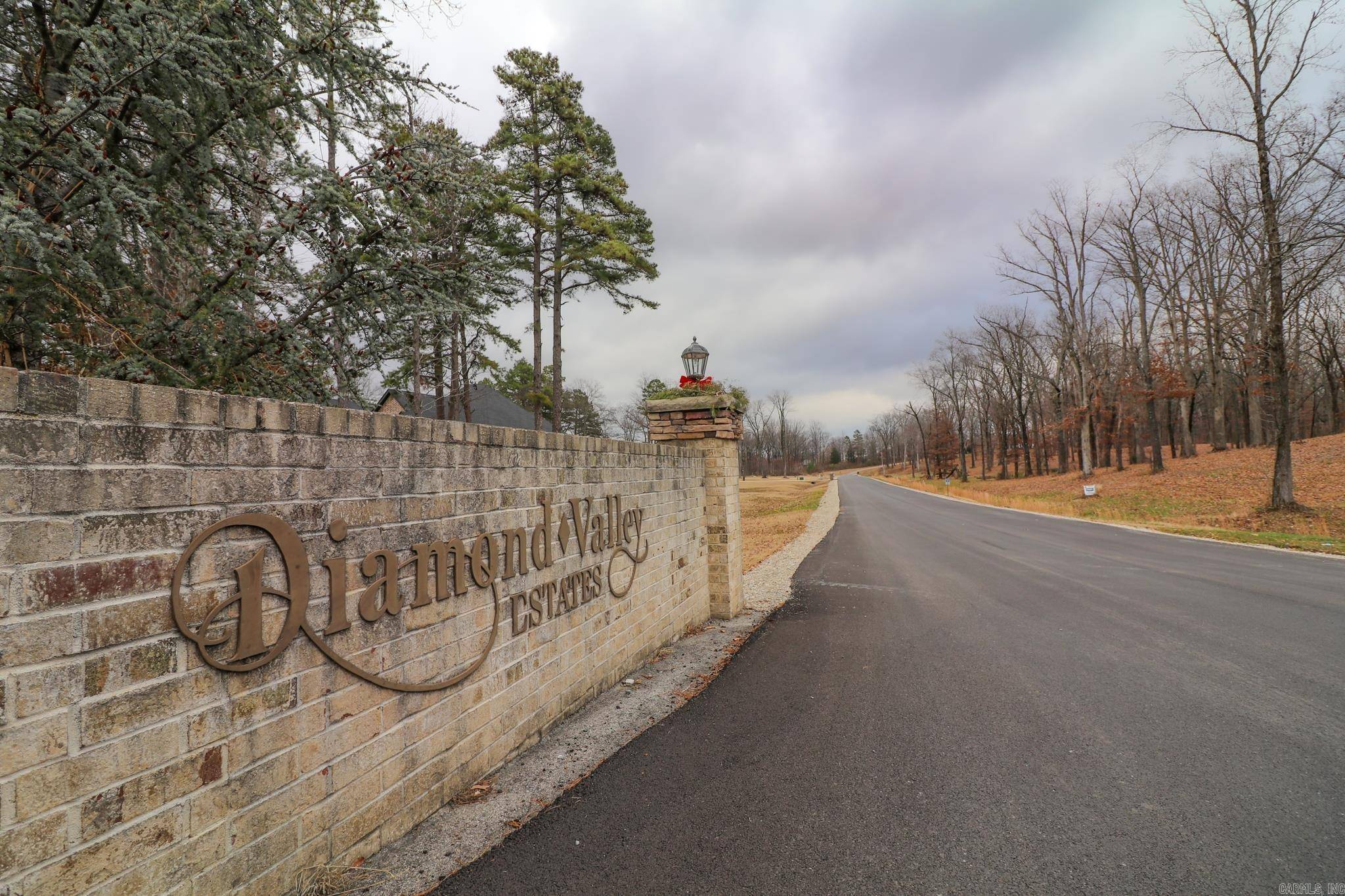 Jonesboro, AR 72404,Lot 3 Diamond Valley
