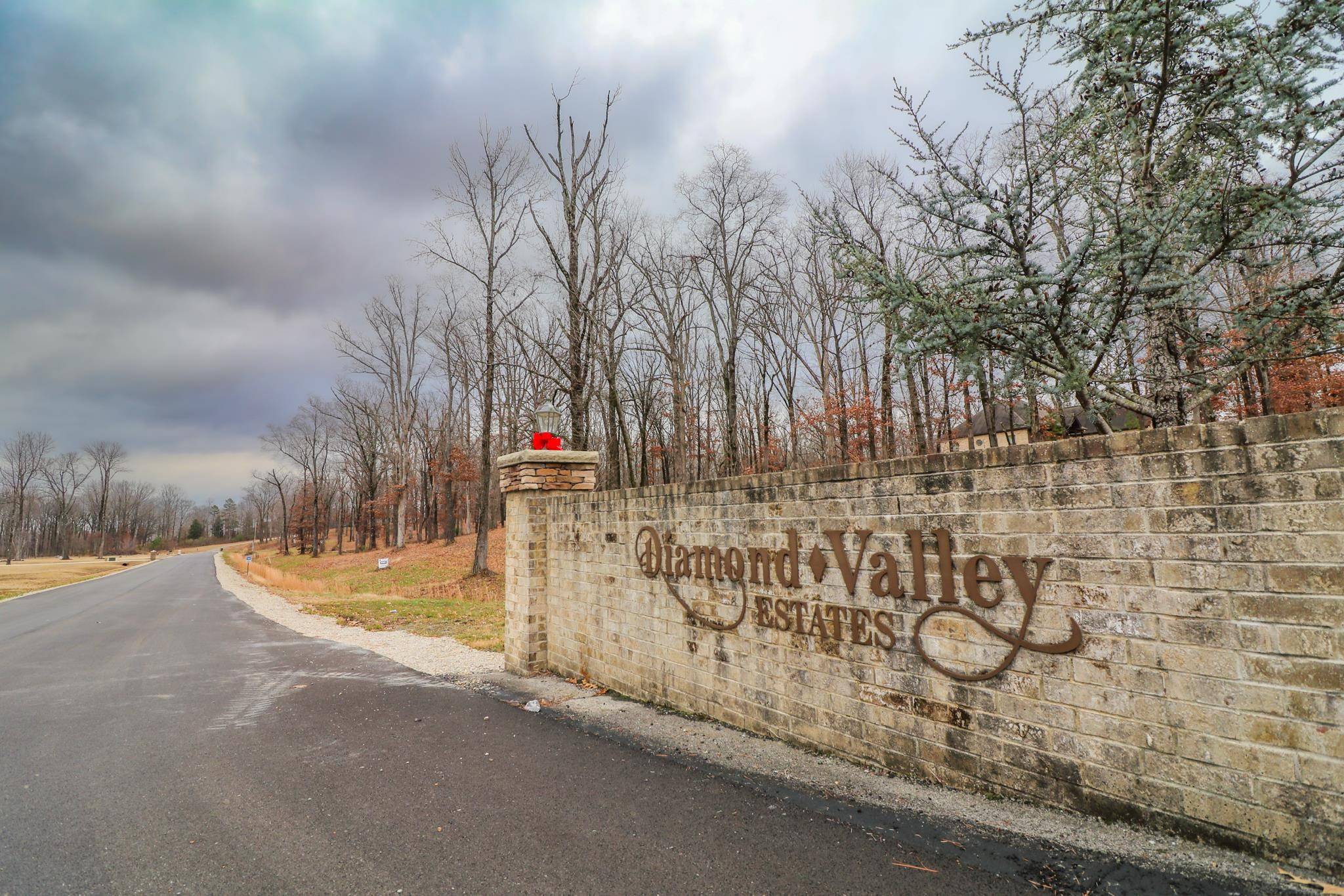 Jonesboro, AR 72404,Lot 4 Diamond Valley