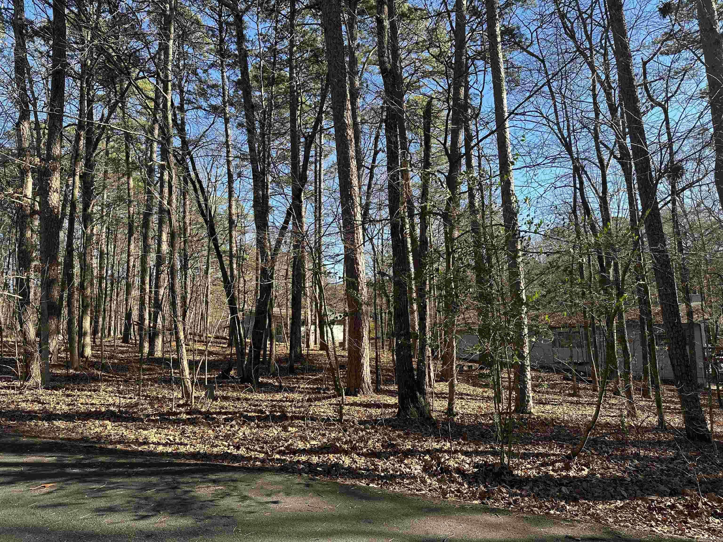 Hot Springs Village, AR 71909,Palacio Circle