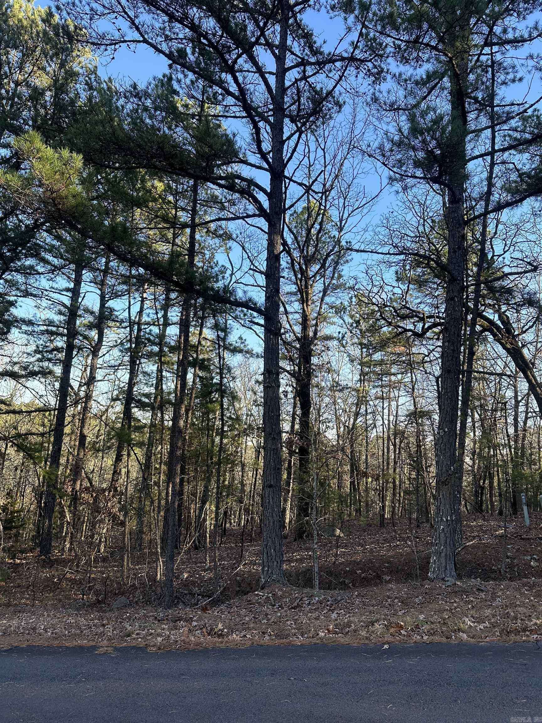 Hot Springs Village, AR 71909,Castano Drive