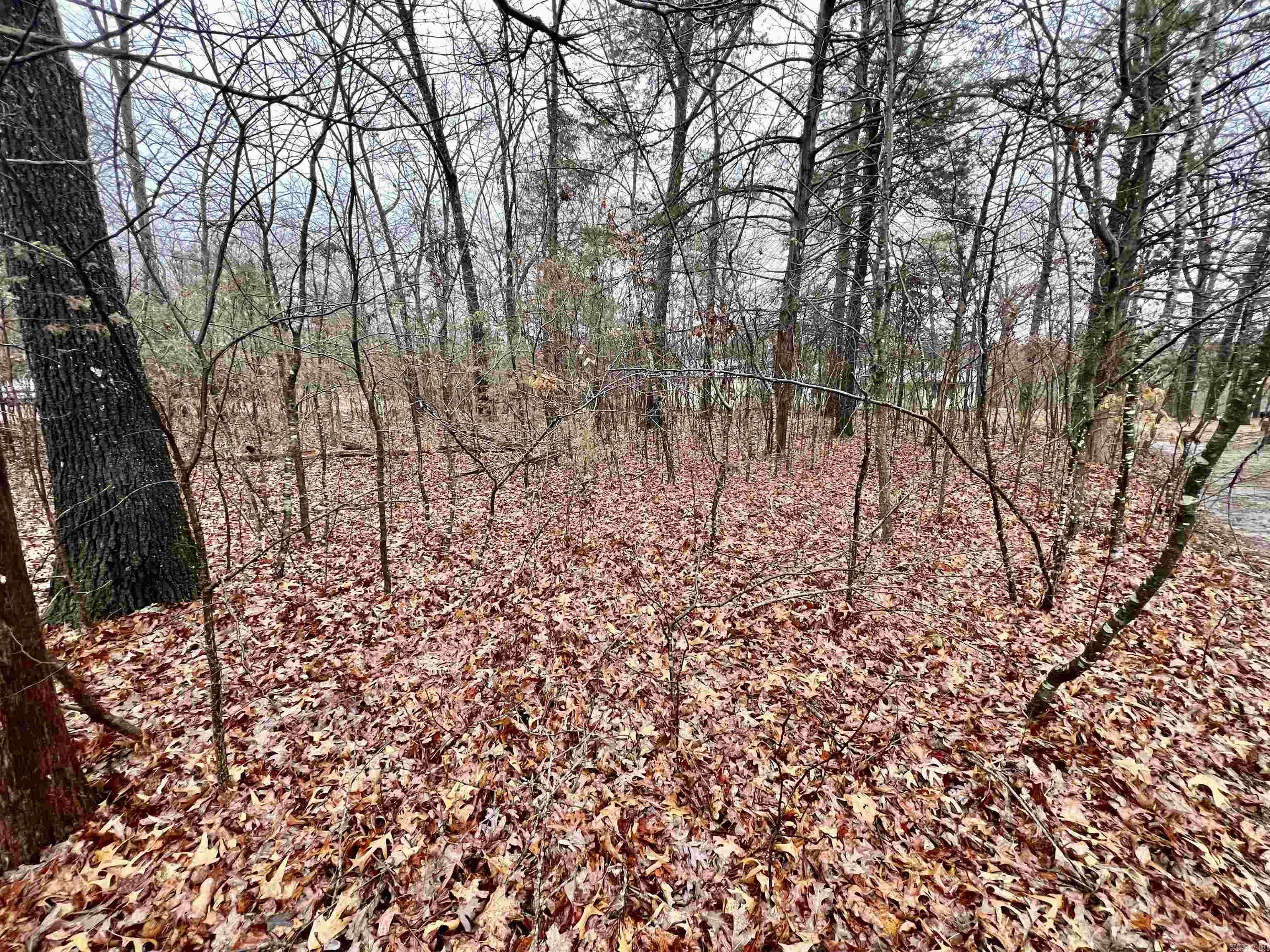 Mountain View, AR 72560,00 Westwood Ave.