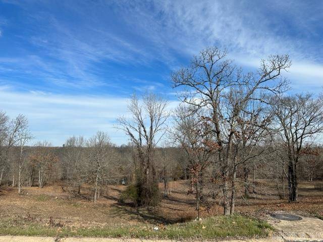 Mayflower, AR 72106,lot 31 W River Road