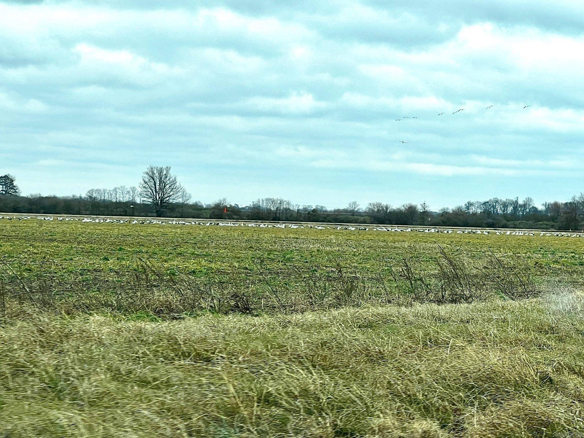 Stuttgart, AR 72160,Address not disclosed