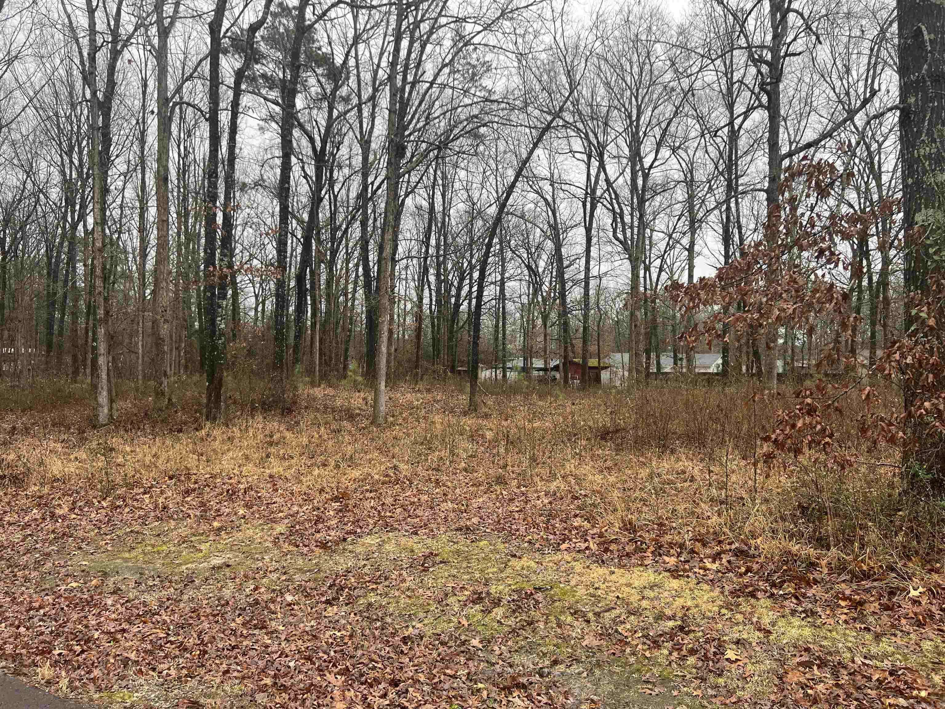 Redfield, AR 72132,0 Quail Creek
