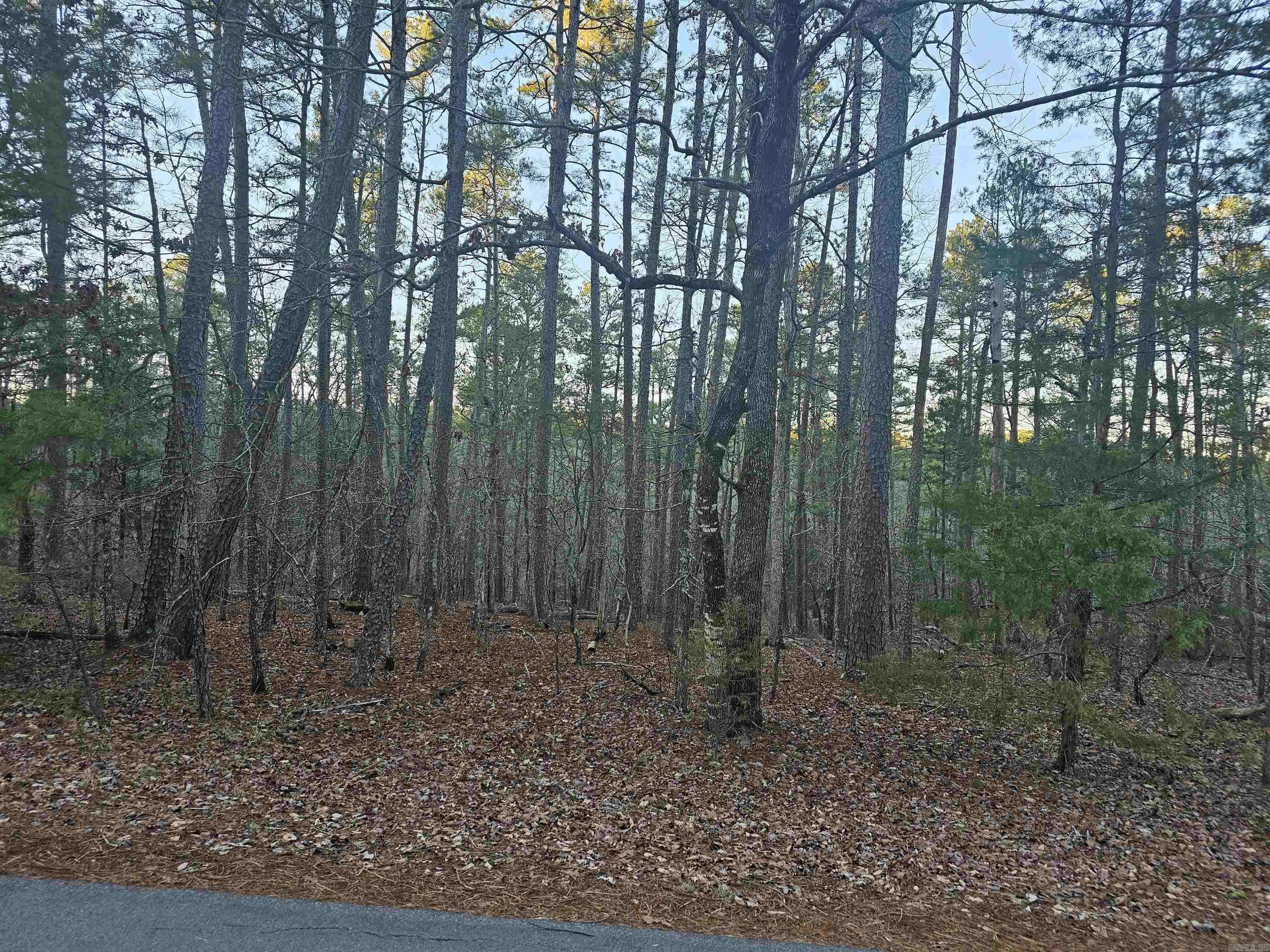 Hot Springs Village, AR 71909,82 Biarritz Way
