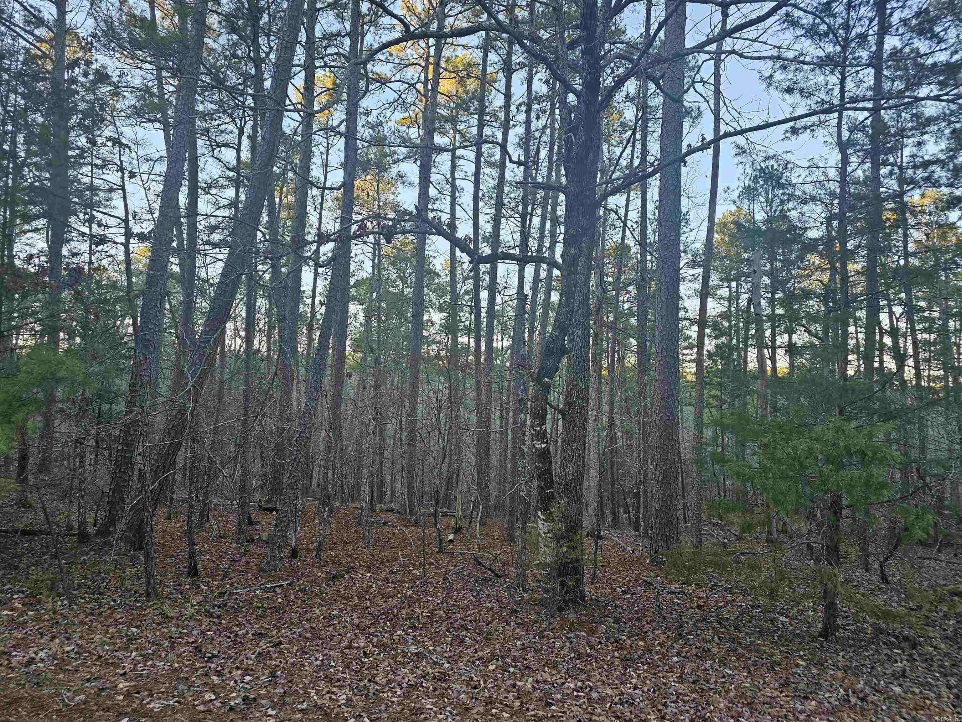 Hot Springs Village, AR 71909,82 Biarritz Way