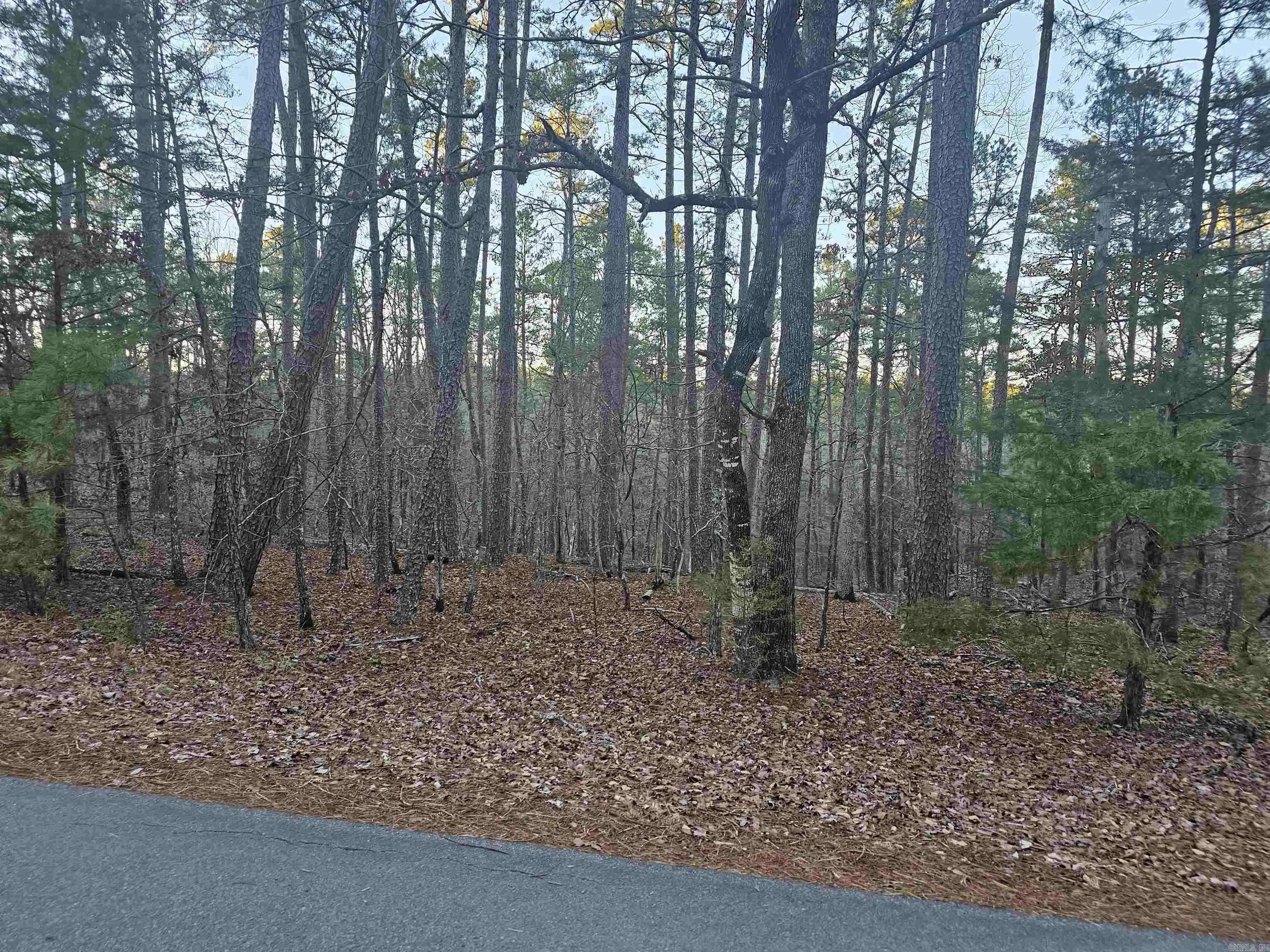 Hot Springs Village, AR 71909,82 Biarritz Way