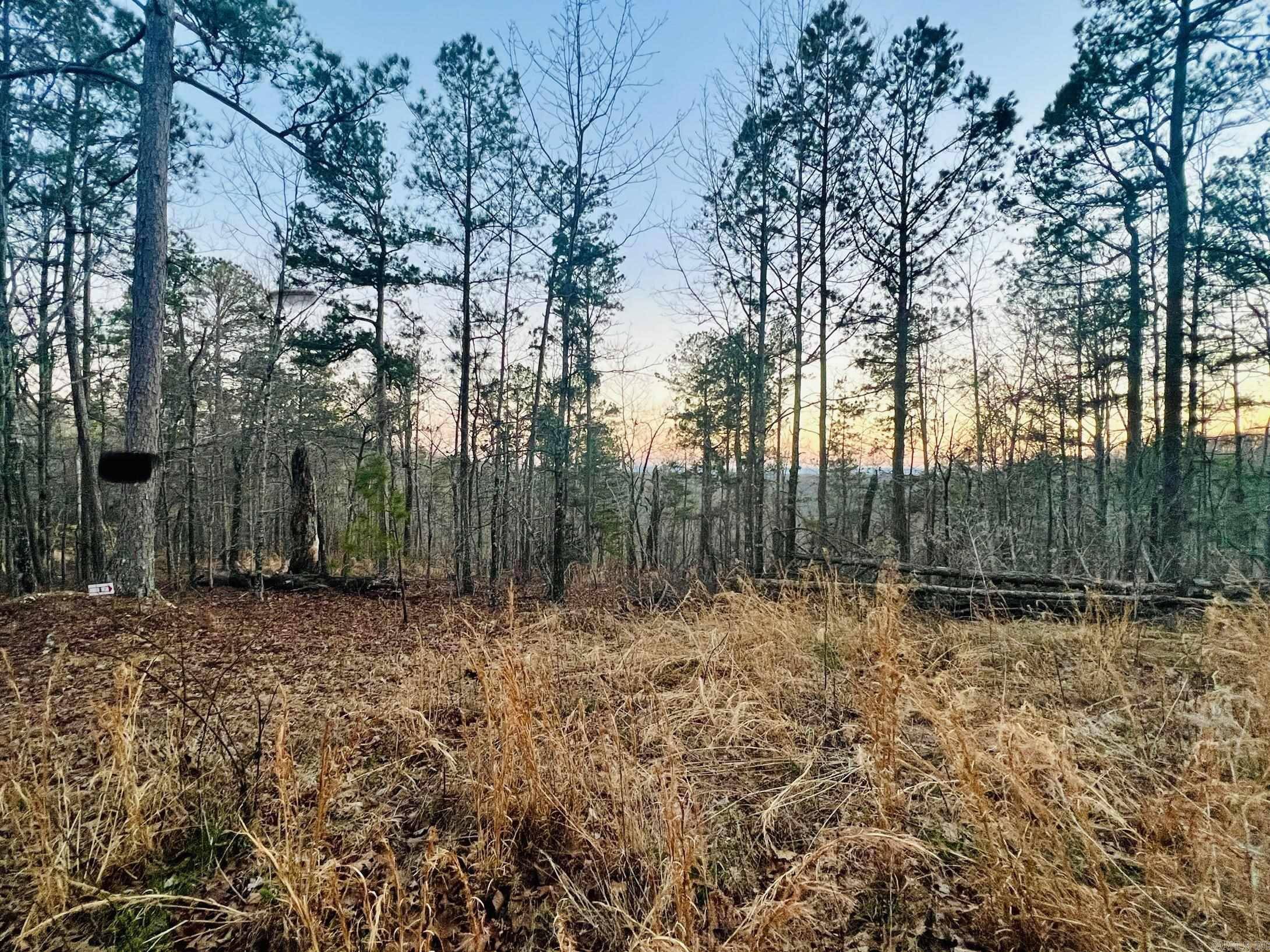 Yellville, AR 72687,Tract 6 Ramblewood Trail