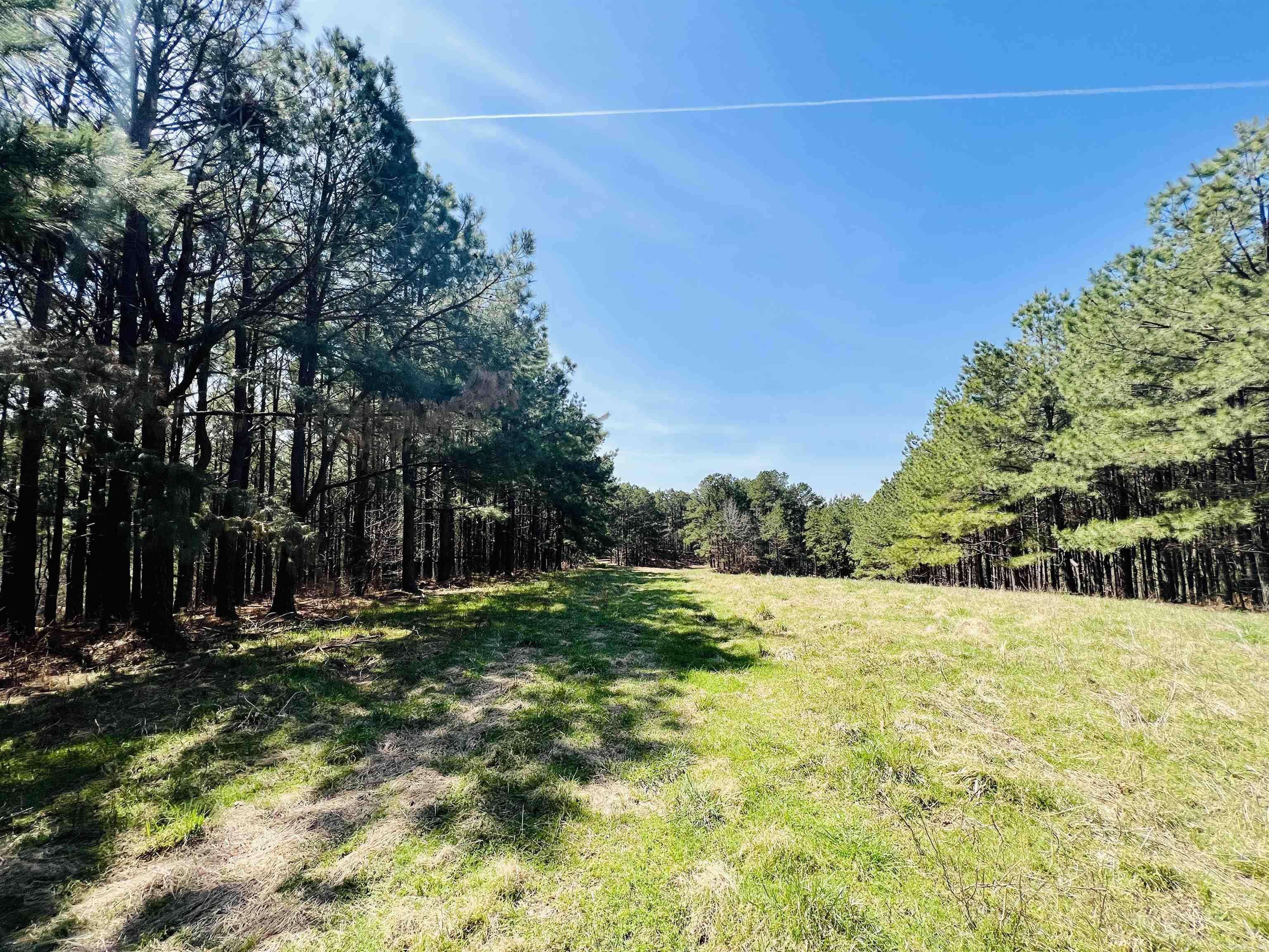 Yellville, AR 72687,Tract 3&4 MC 5032