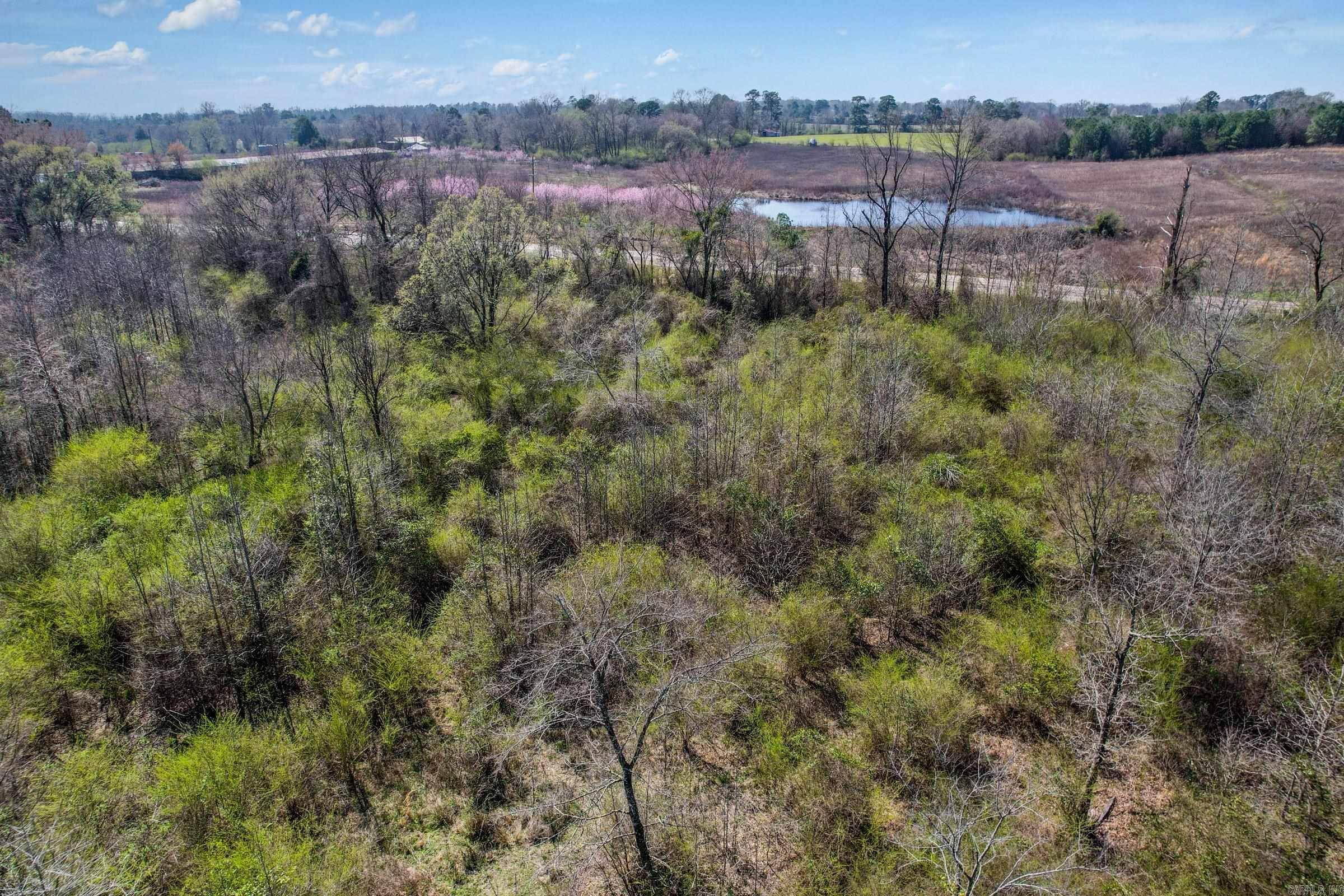 Gillham, AR 71841,TBD Hwy 71 N