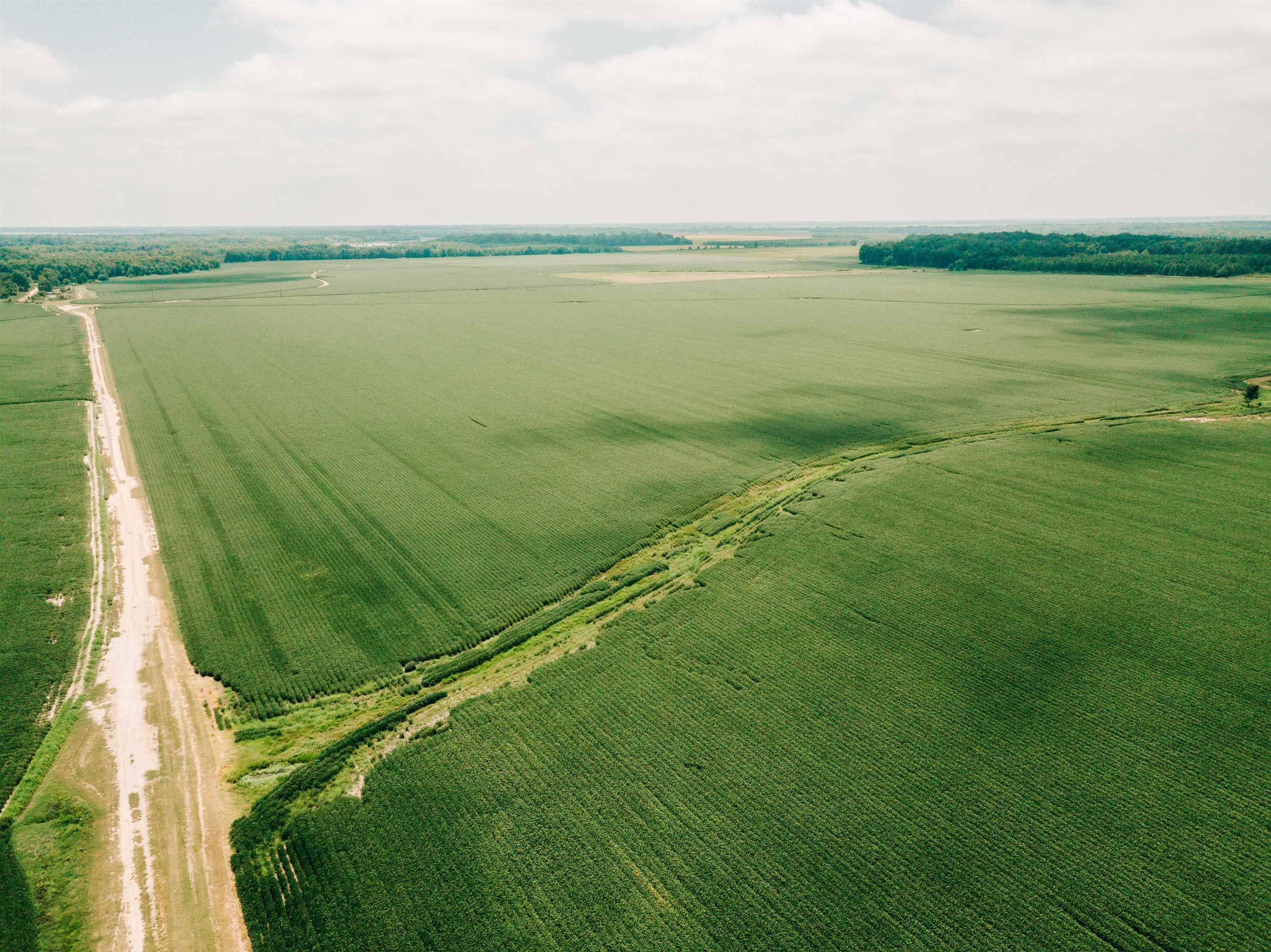 Gillett, AR 72055,00 Bell Rd
