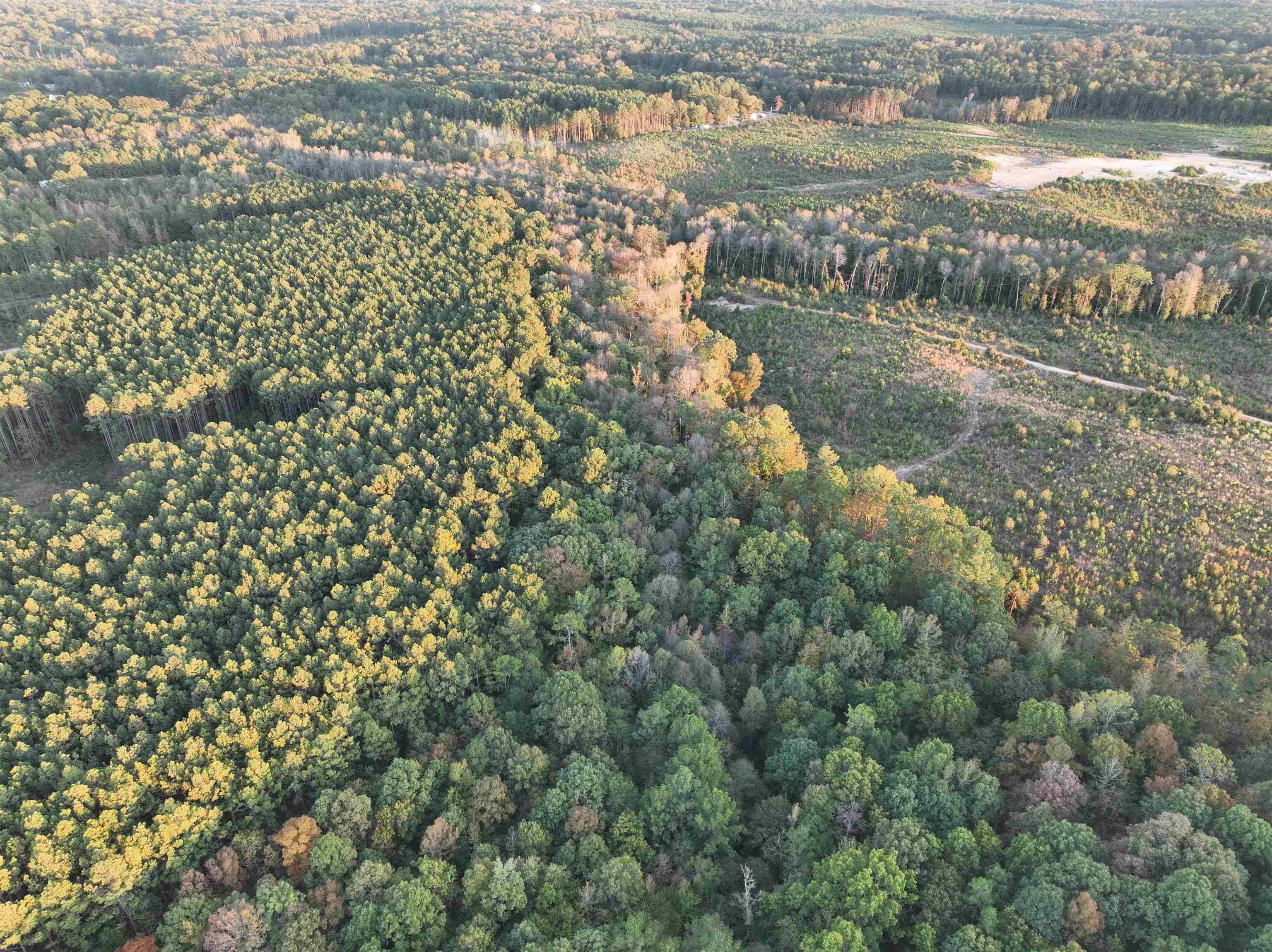 Mabelvale, AR 72103,Address not disclosed