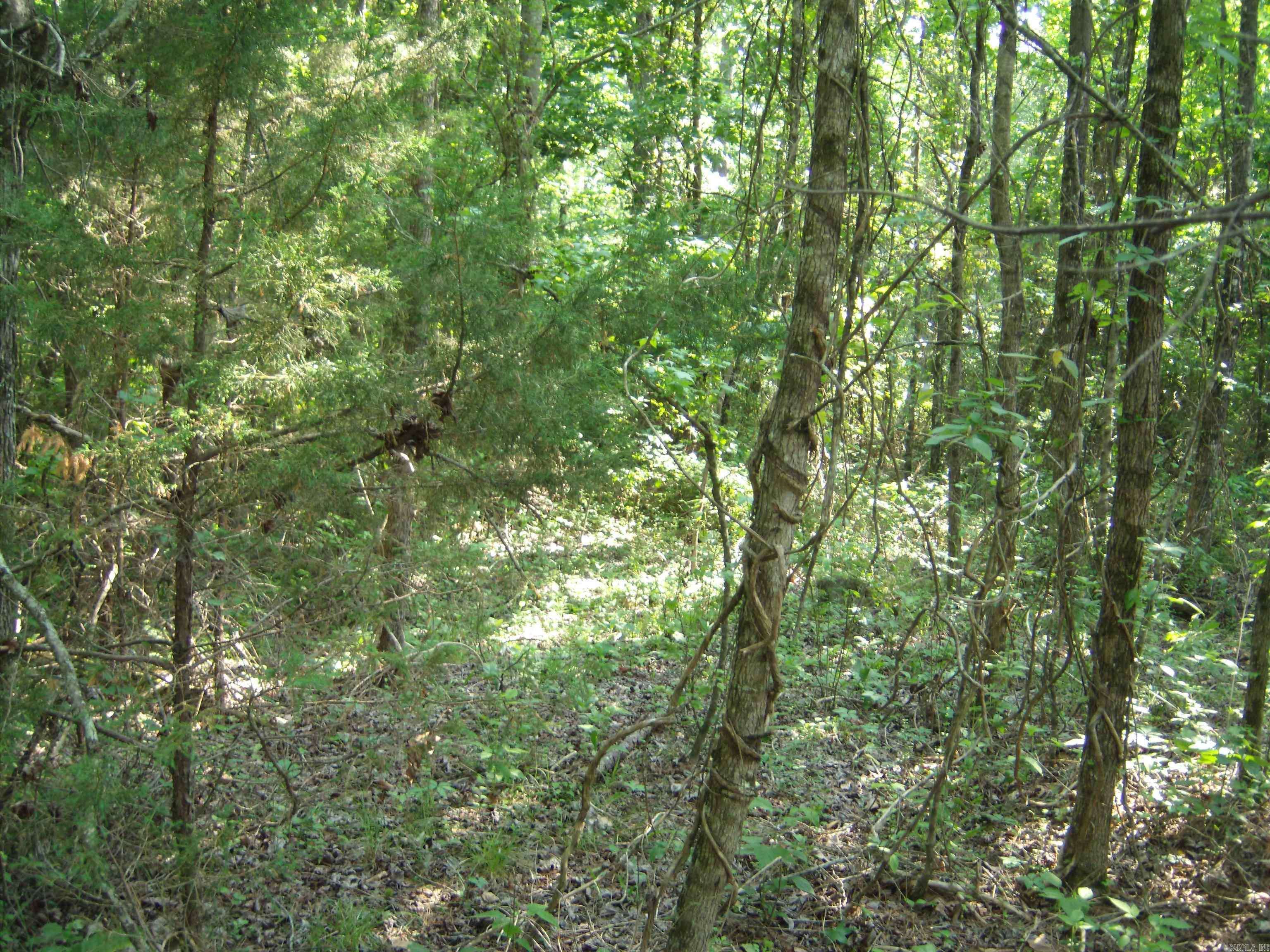 Heber Springs, AR 72543,Lots 2,3 & 4 Pearson Cutoff