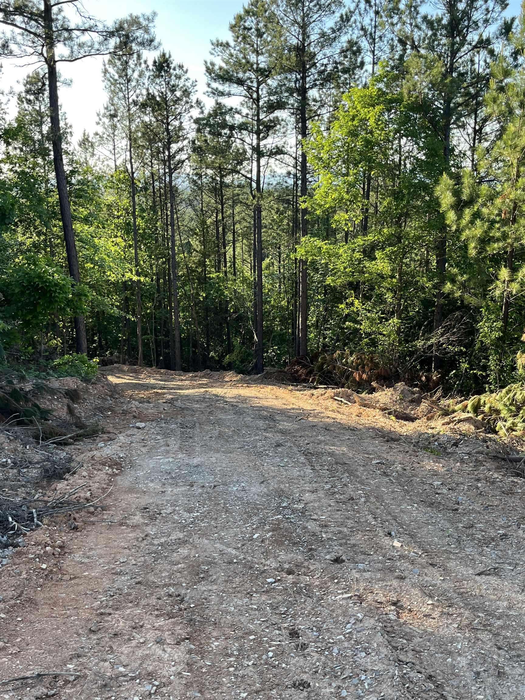 Mena, AR 71953,Lot 15 Polk Road 617